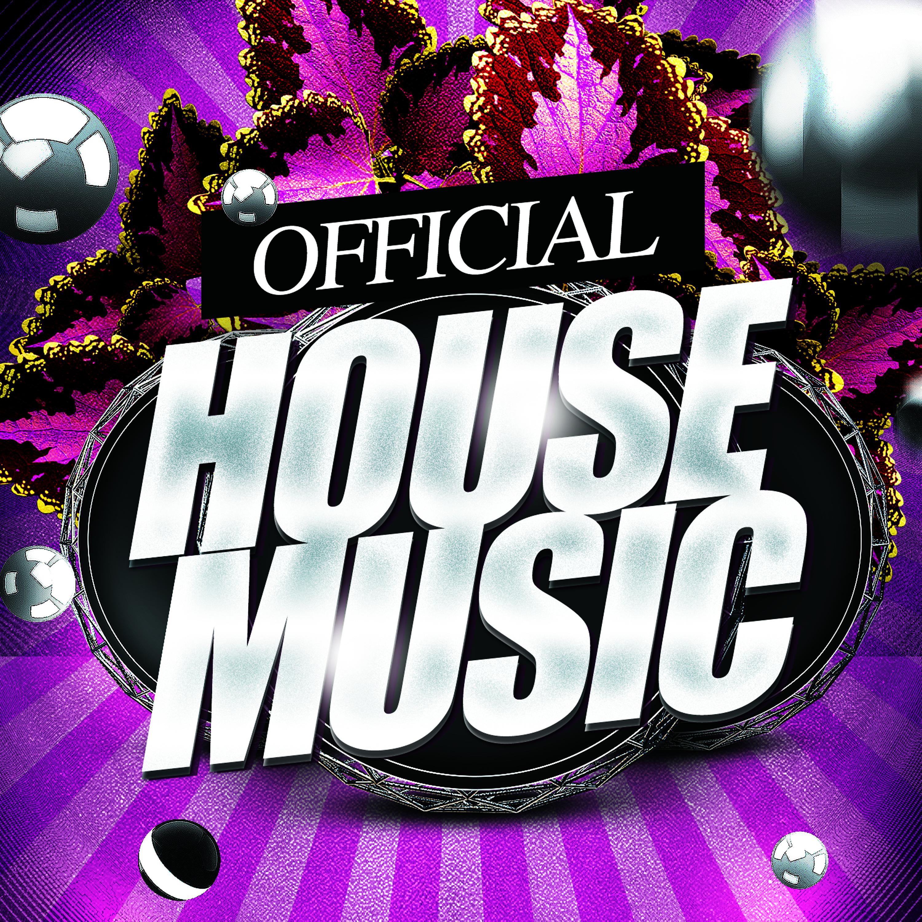 Постер альбома Official House Music