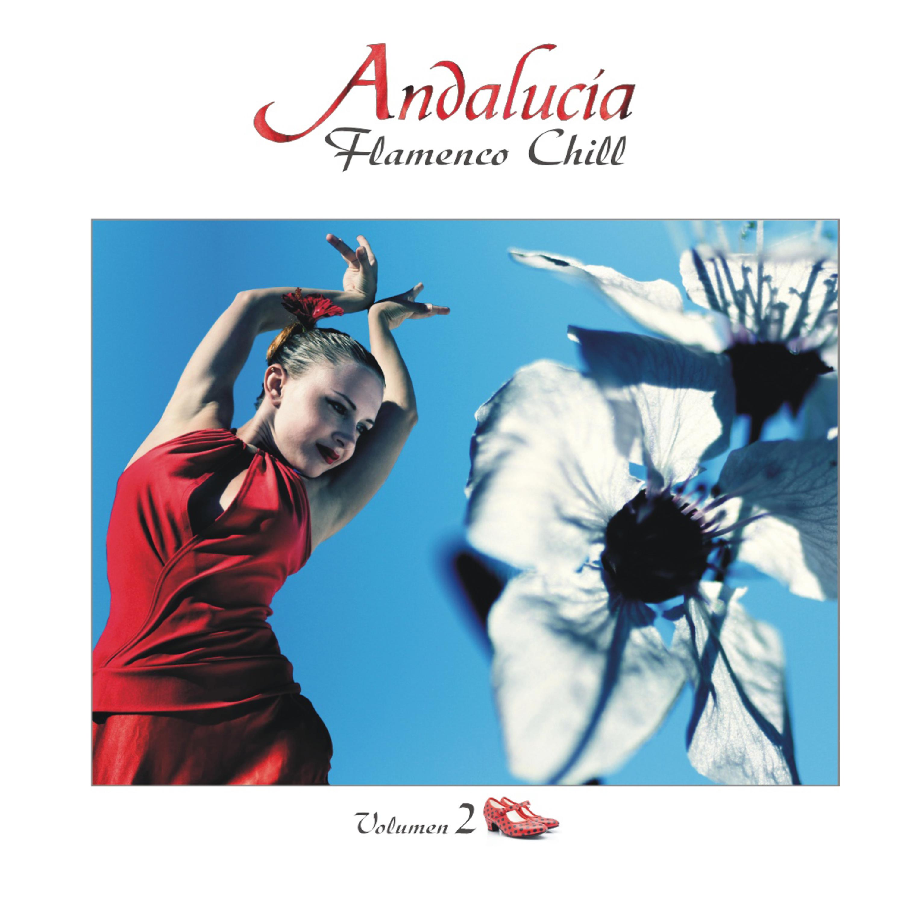Постер альбома Andalucía Flamenco Chill Vol. 2