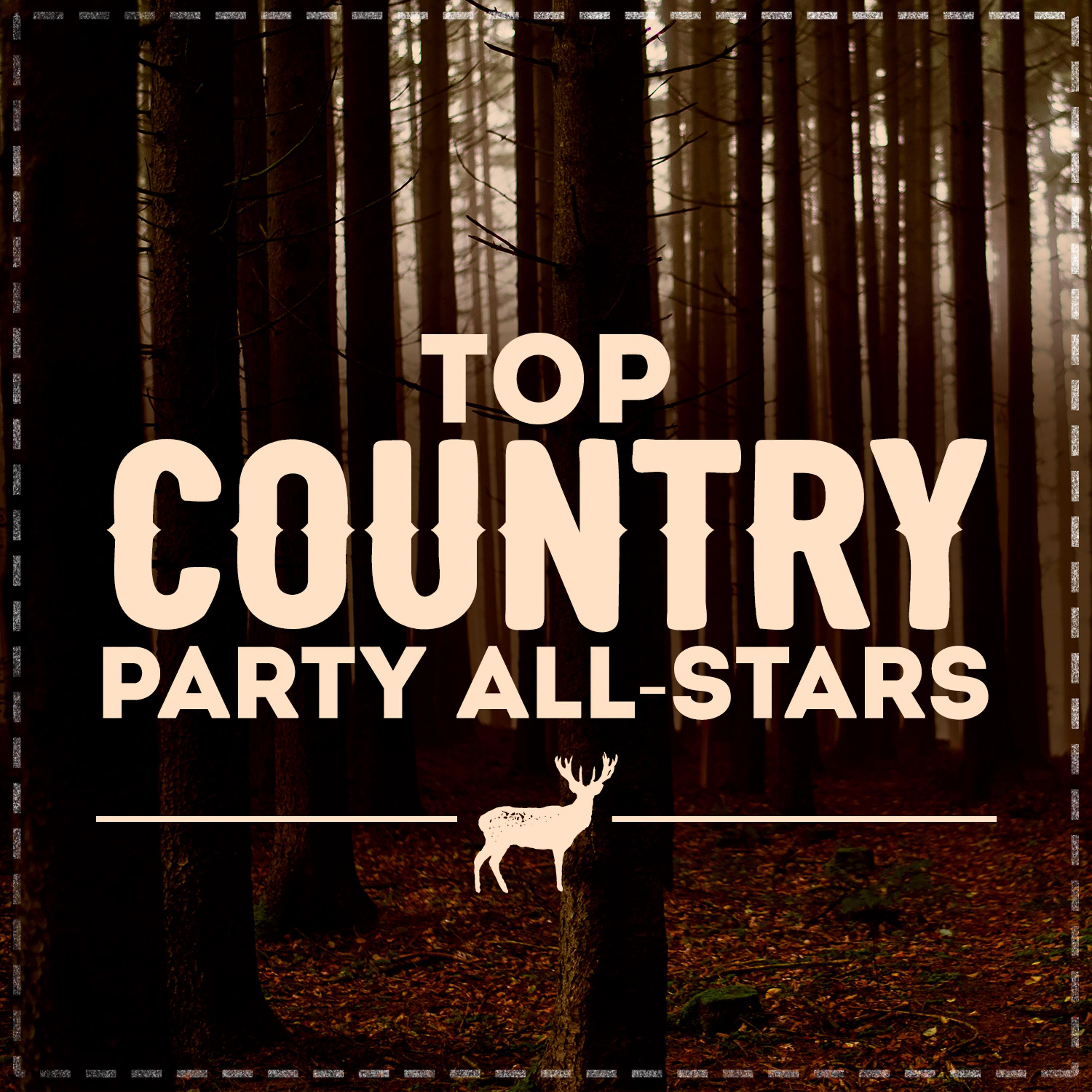 Постер альбома Top Country Party All-Stars