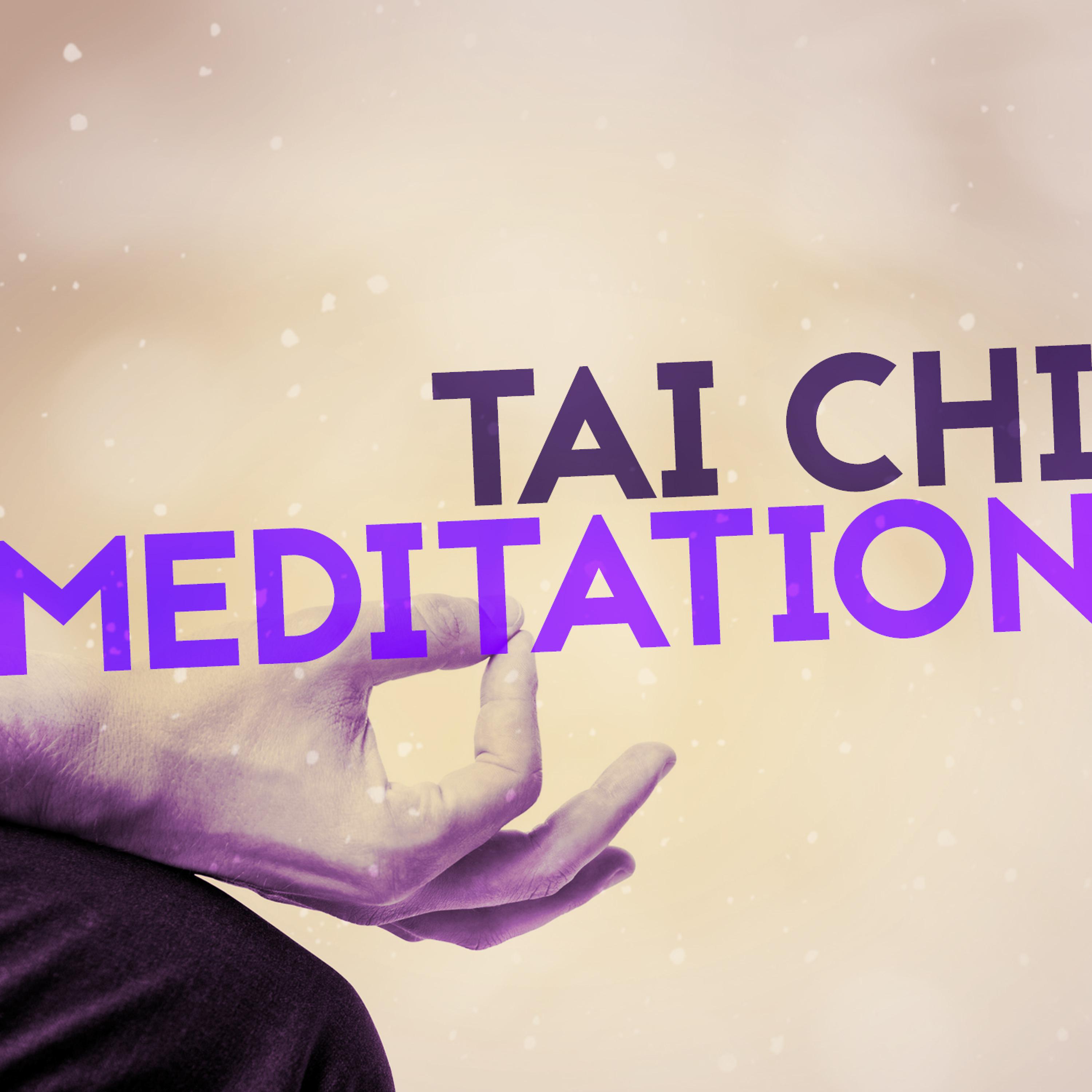 Постер альбома Tai Chi Meditation