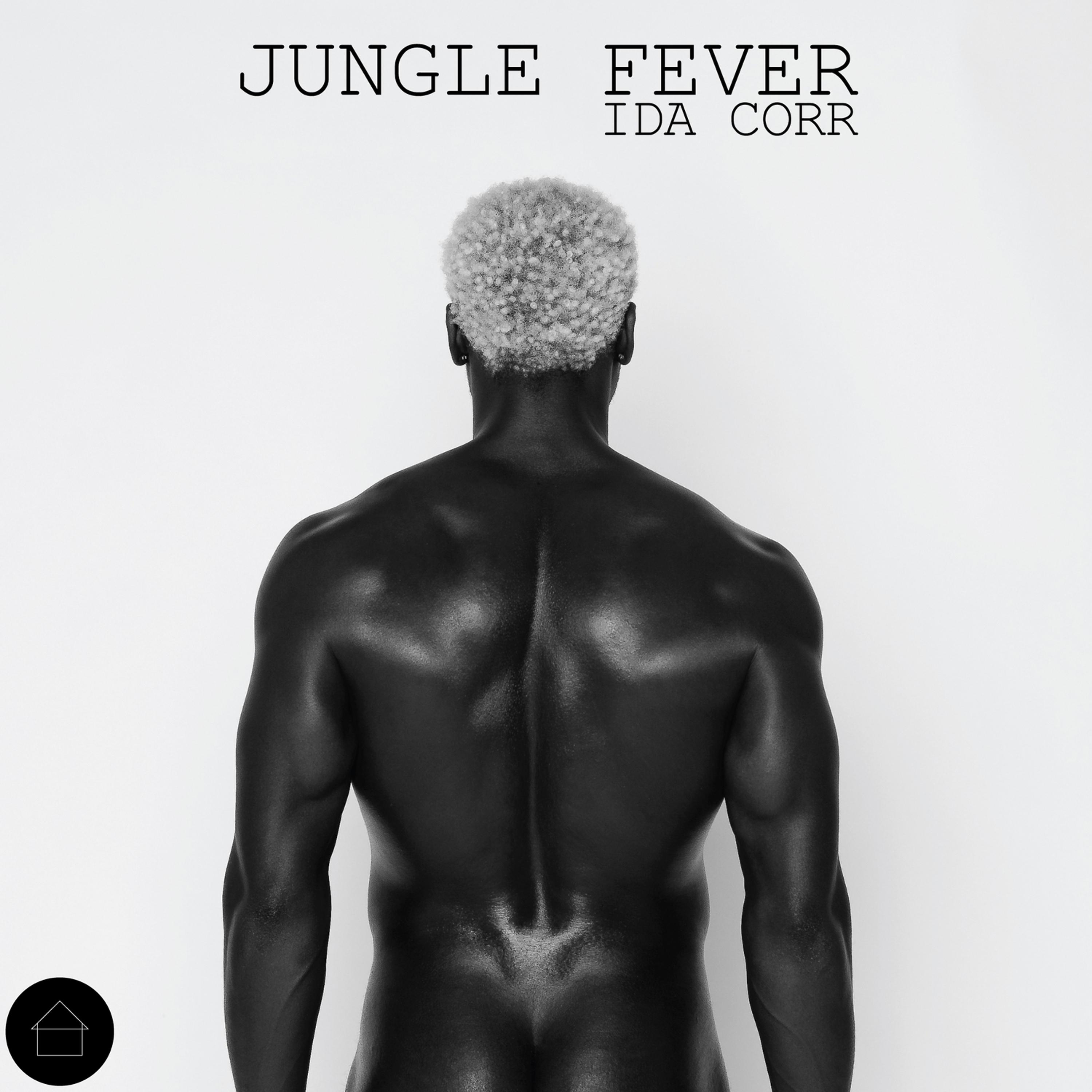 Постер альбома Jungle Fever