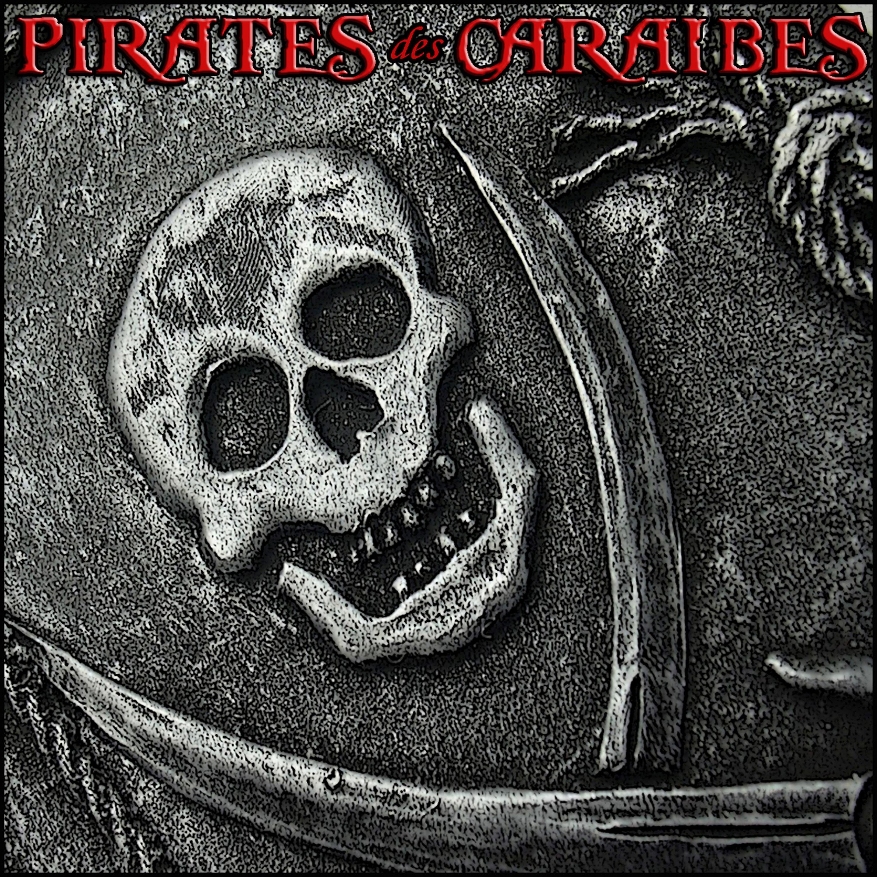 Постер альбома Pirates des Caraïbes