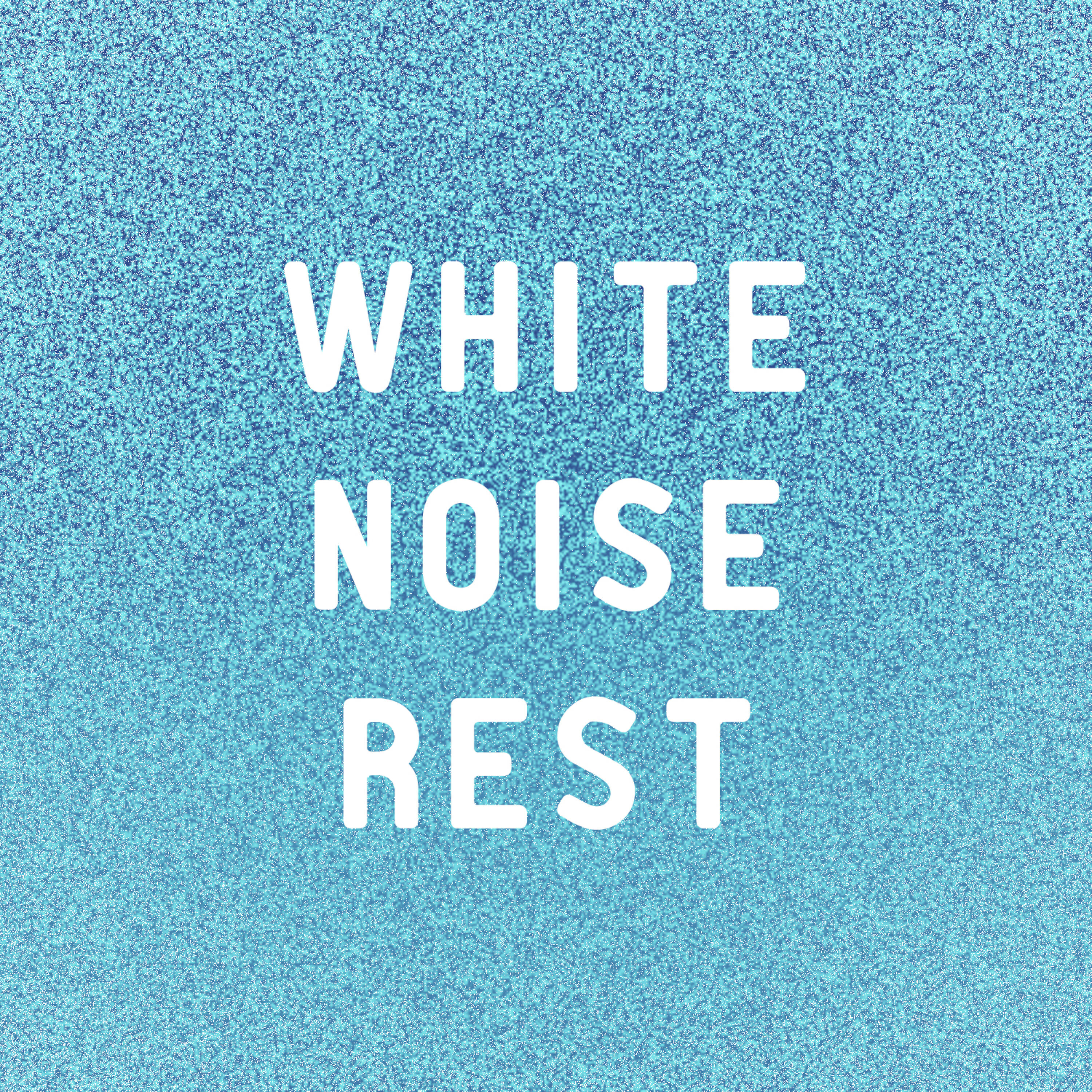 The Sounds Research Forum - White Noise: Rhythm