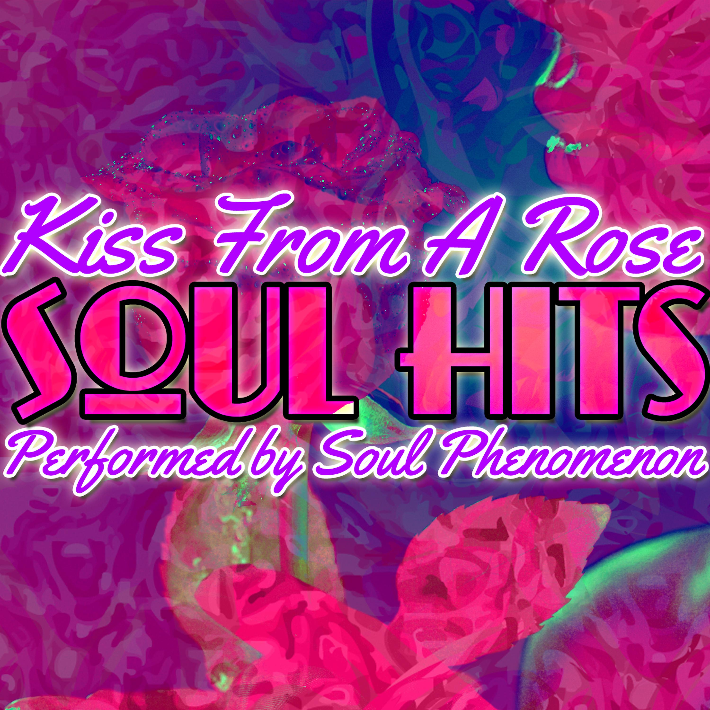 Постер альбома Kiss from a Rose: Soul Hits