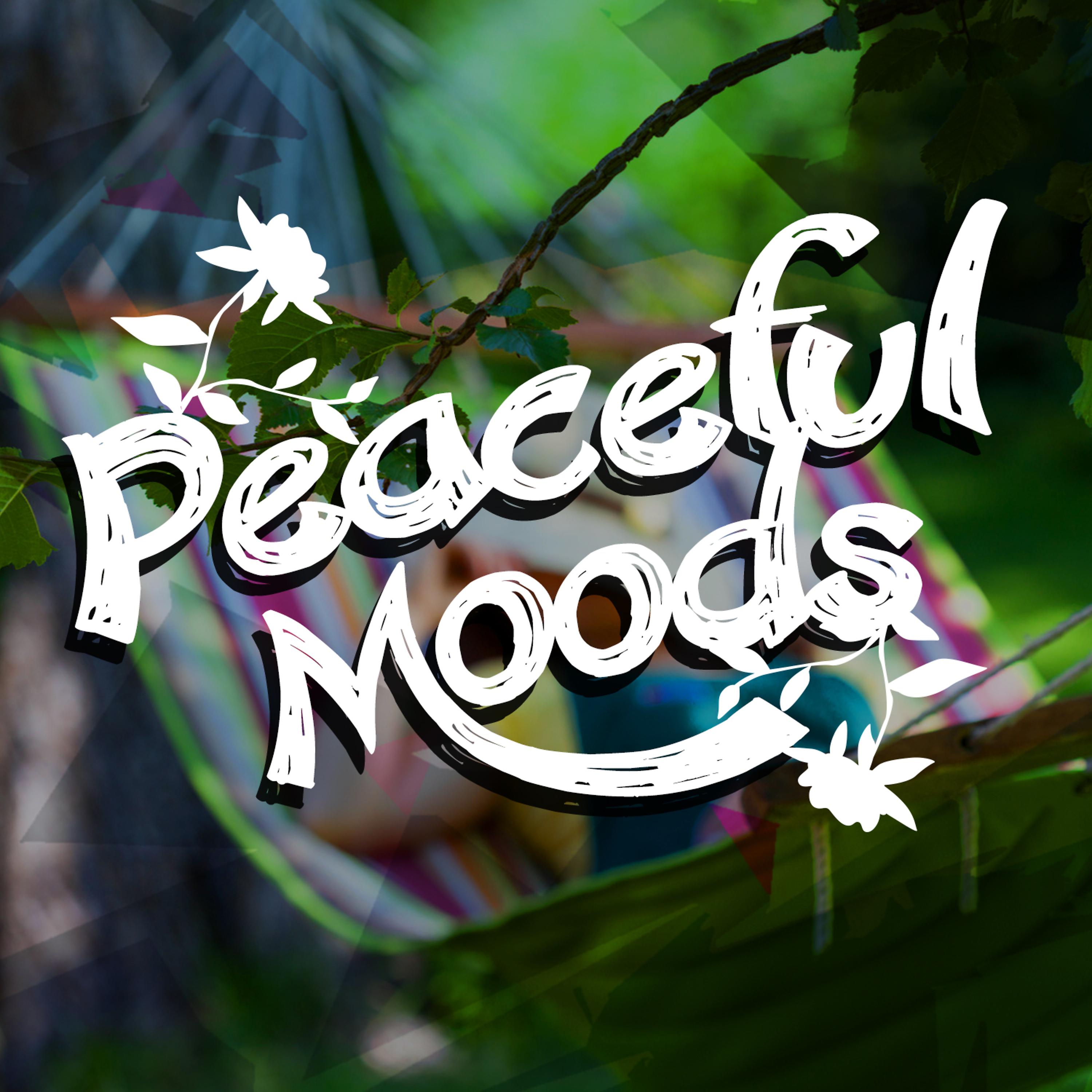Постер альбома Peaceful Moods