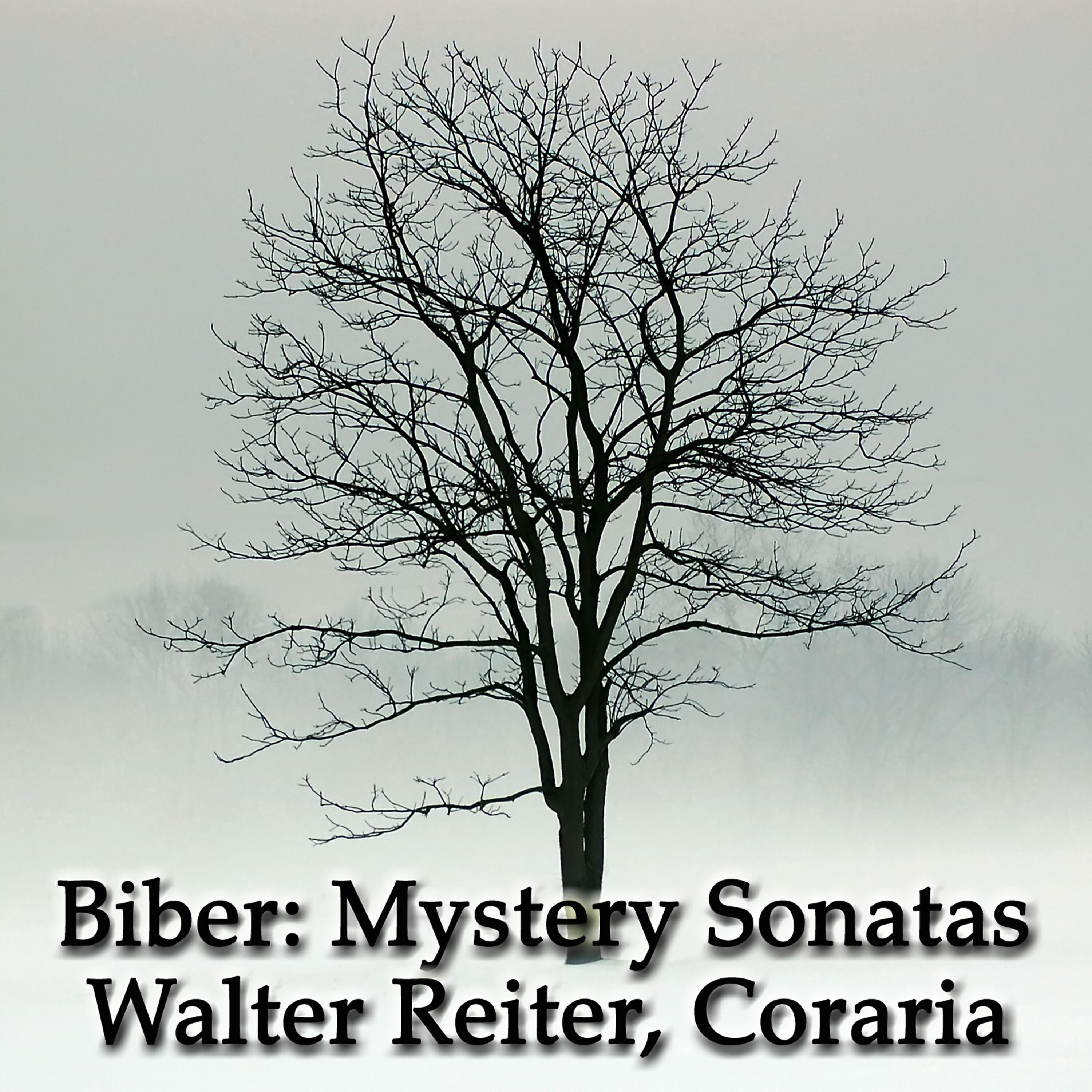 Cordaria - Sonata no. 2: Presto