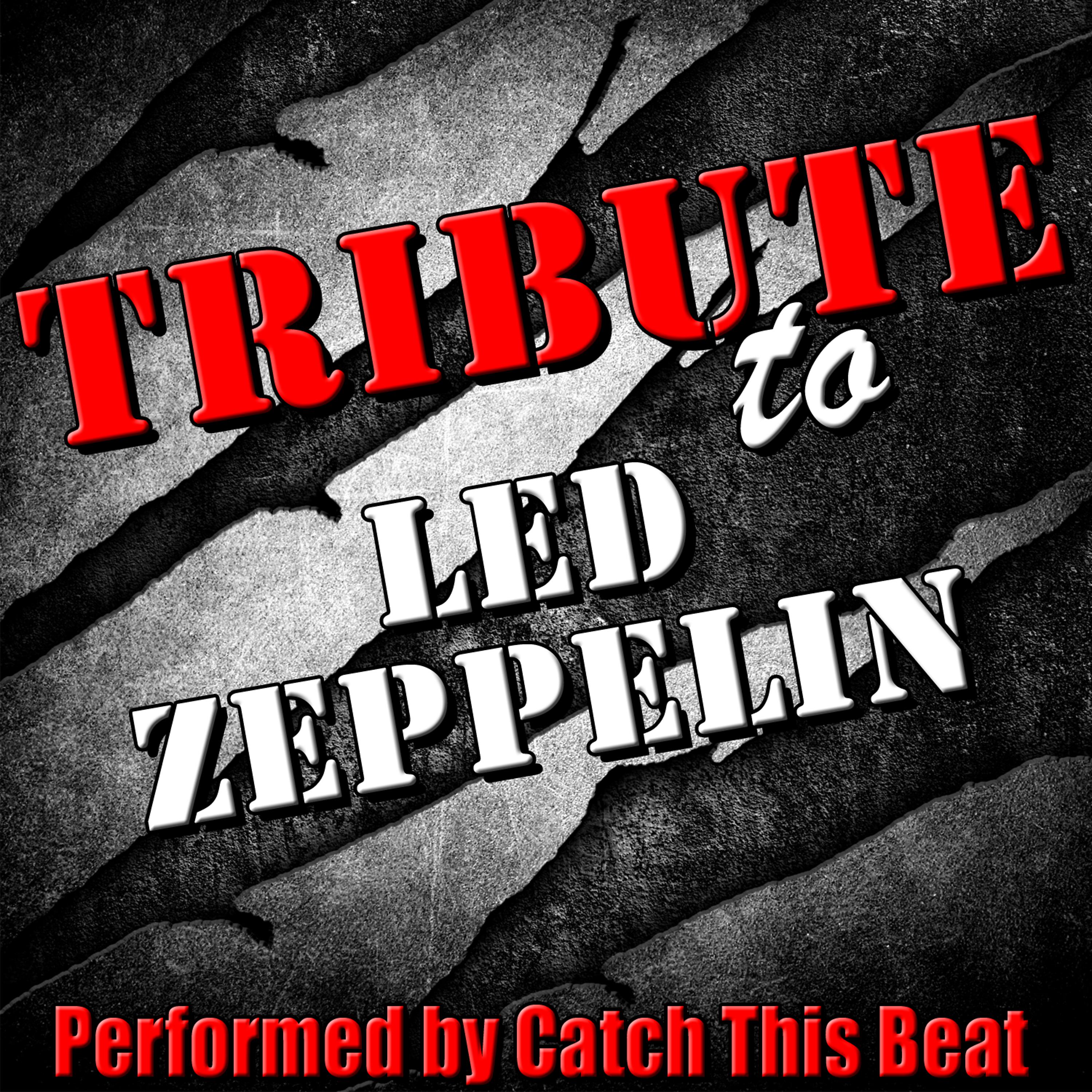 Постер альбома A Tribute to Led Zeppelin