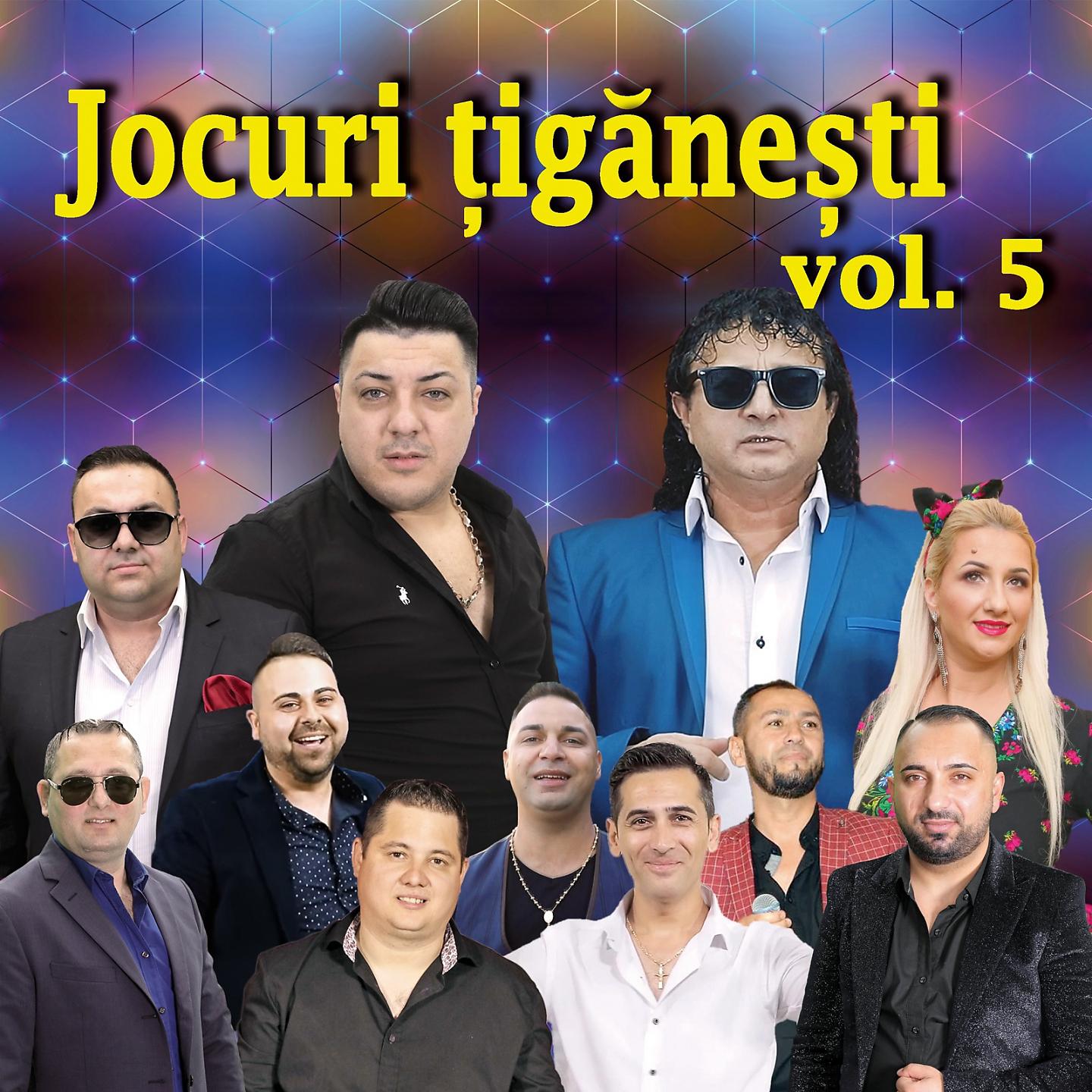 Постер альбома Jocuri Tiganesti, Vol. 5