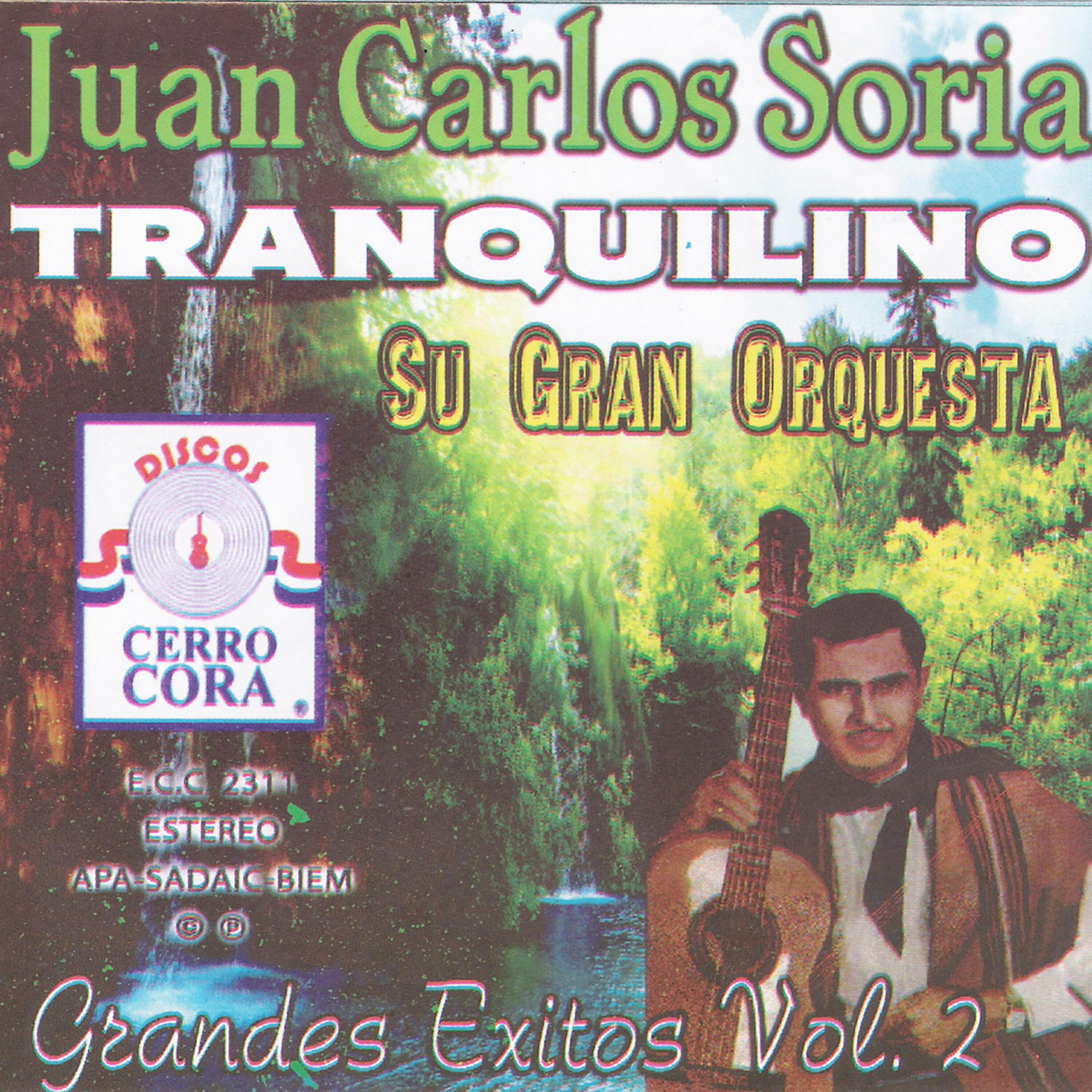 Juan Carlos Soria - Apytavo Che Añomi