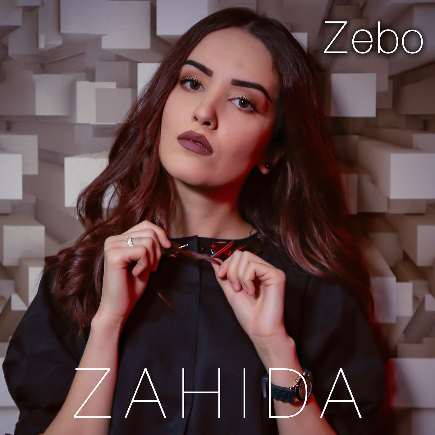 Постер альбома Zebo