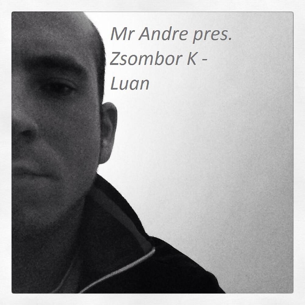 Mr Andre - Luan (Original Mix)