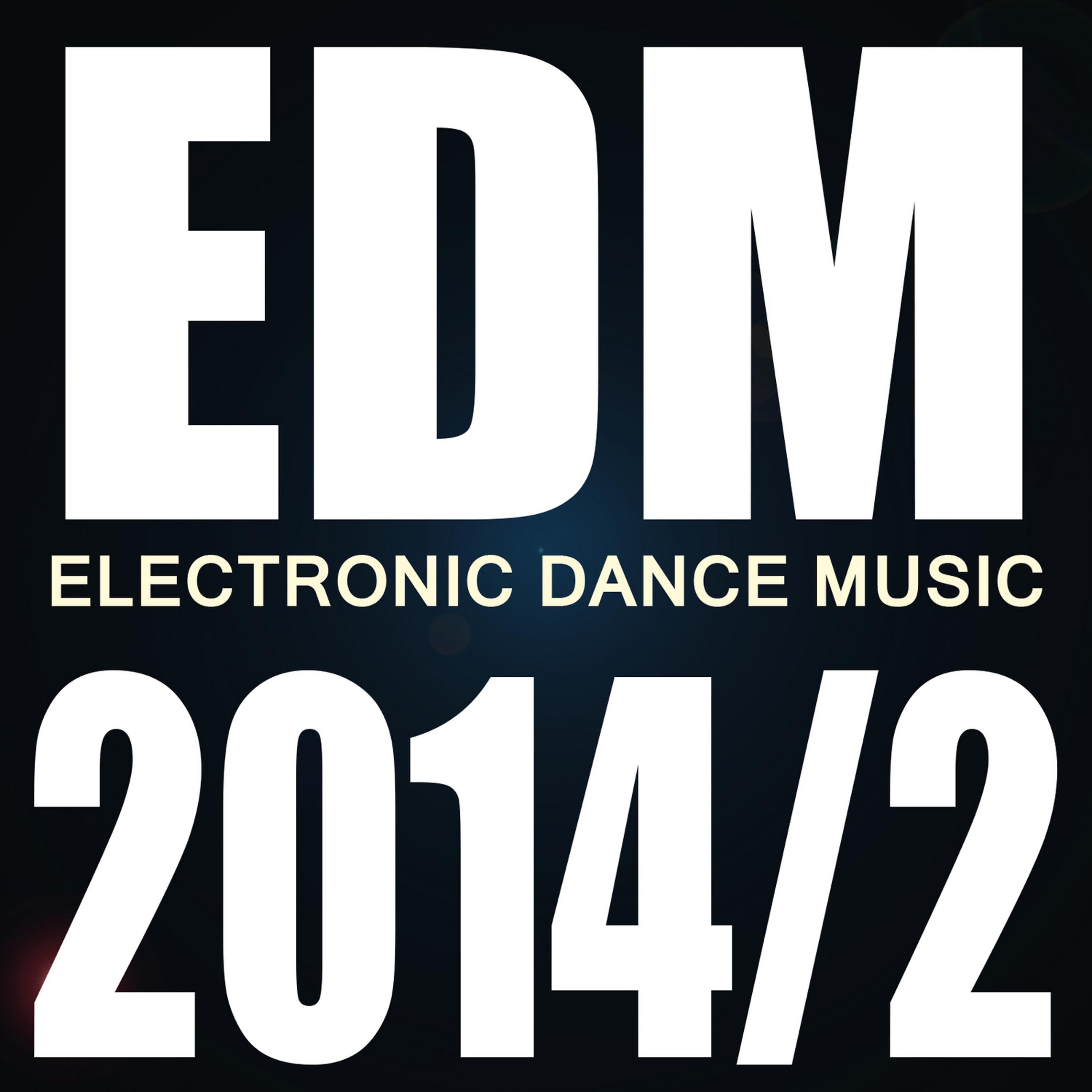 Постер альбома EDM 2014 Vol. 2