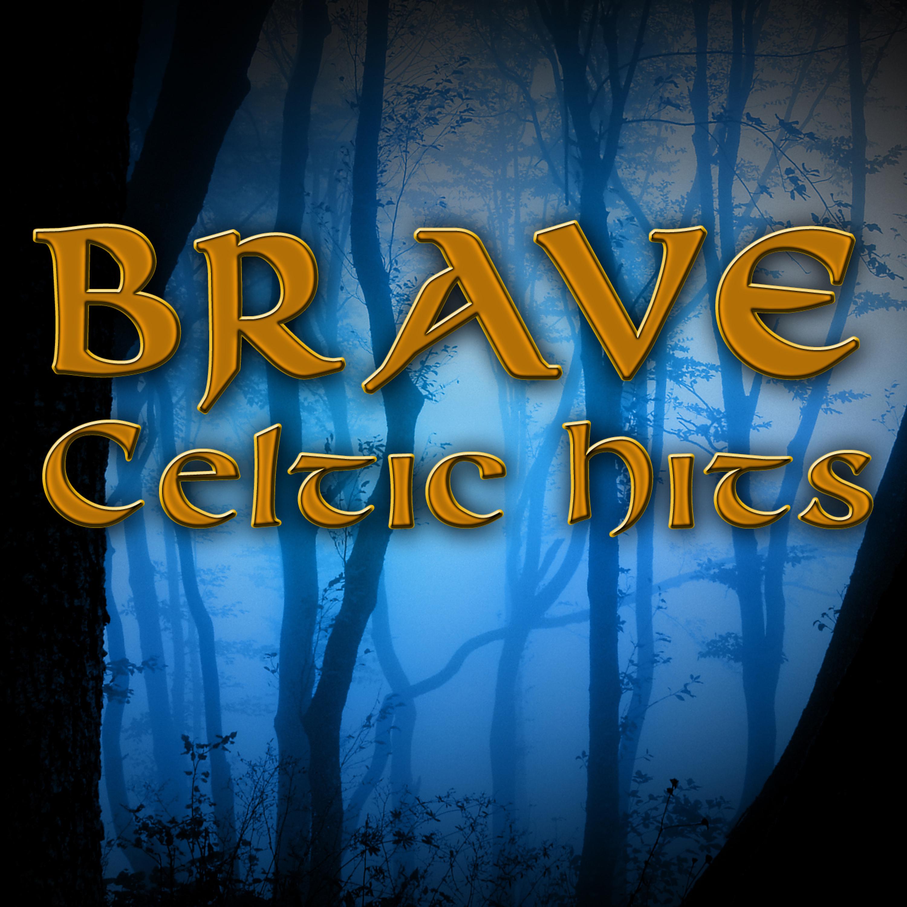 Постер альбома Brave Celtic Hits
