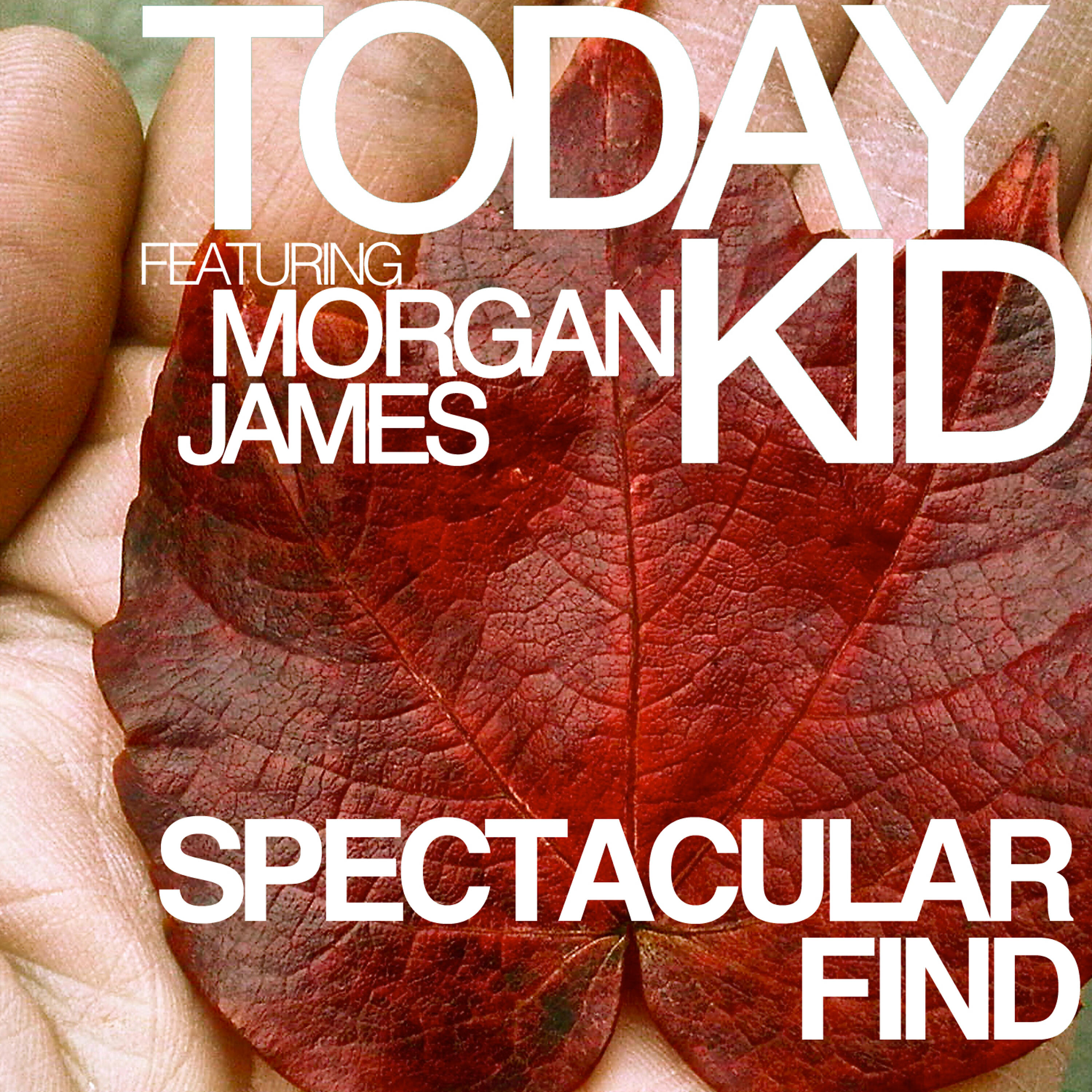 Morgan James - Spectacular Find