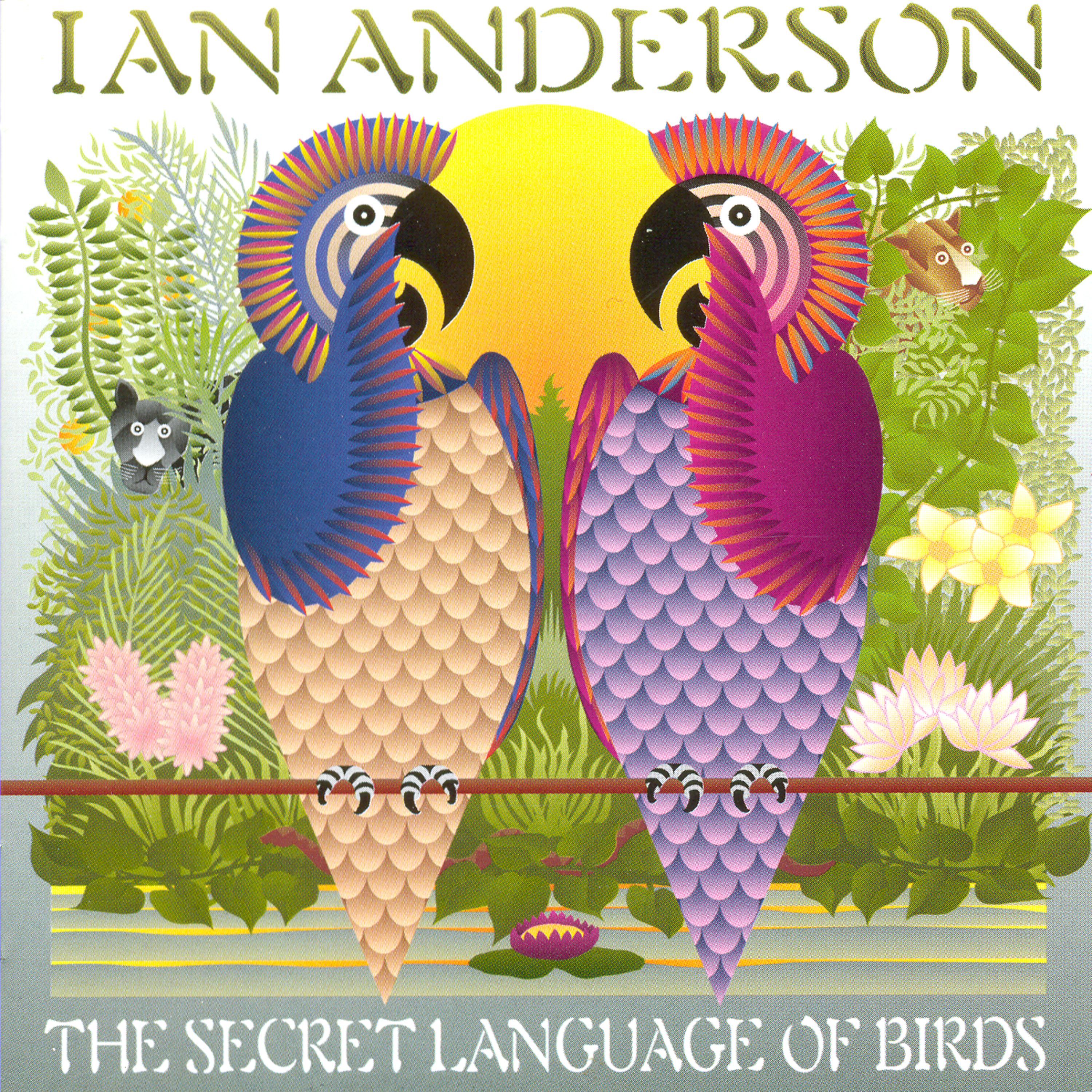Постер альбома The Secret Language Of Birds