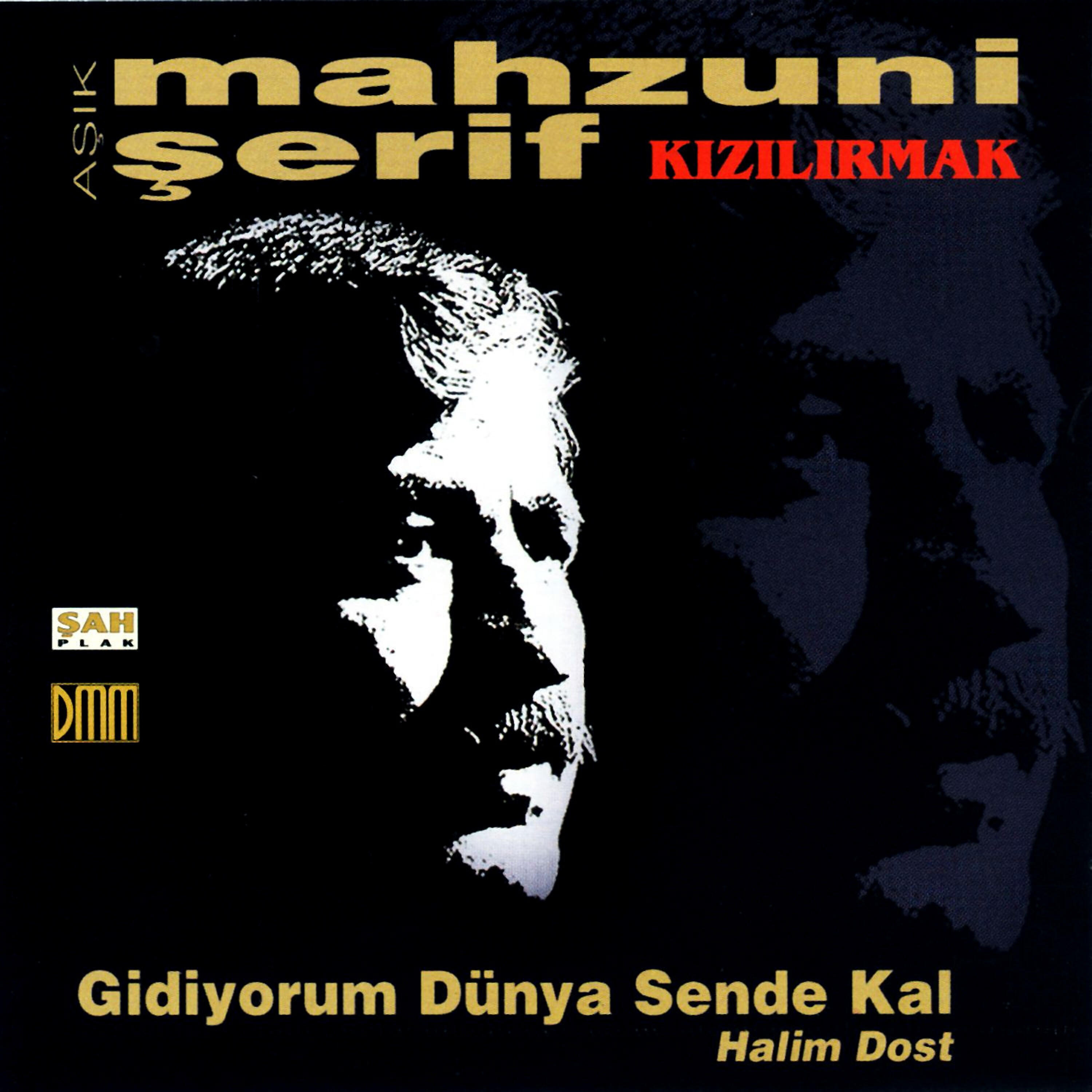 Aşık Mahzuni Şerif - Bilemezsin