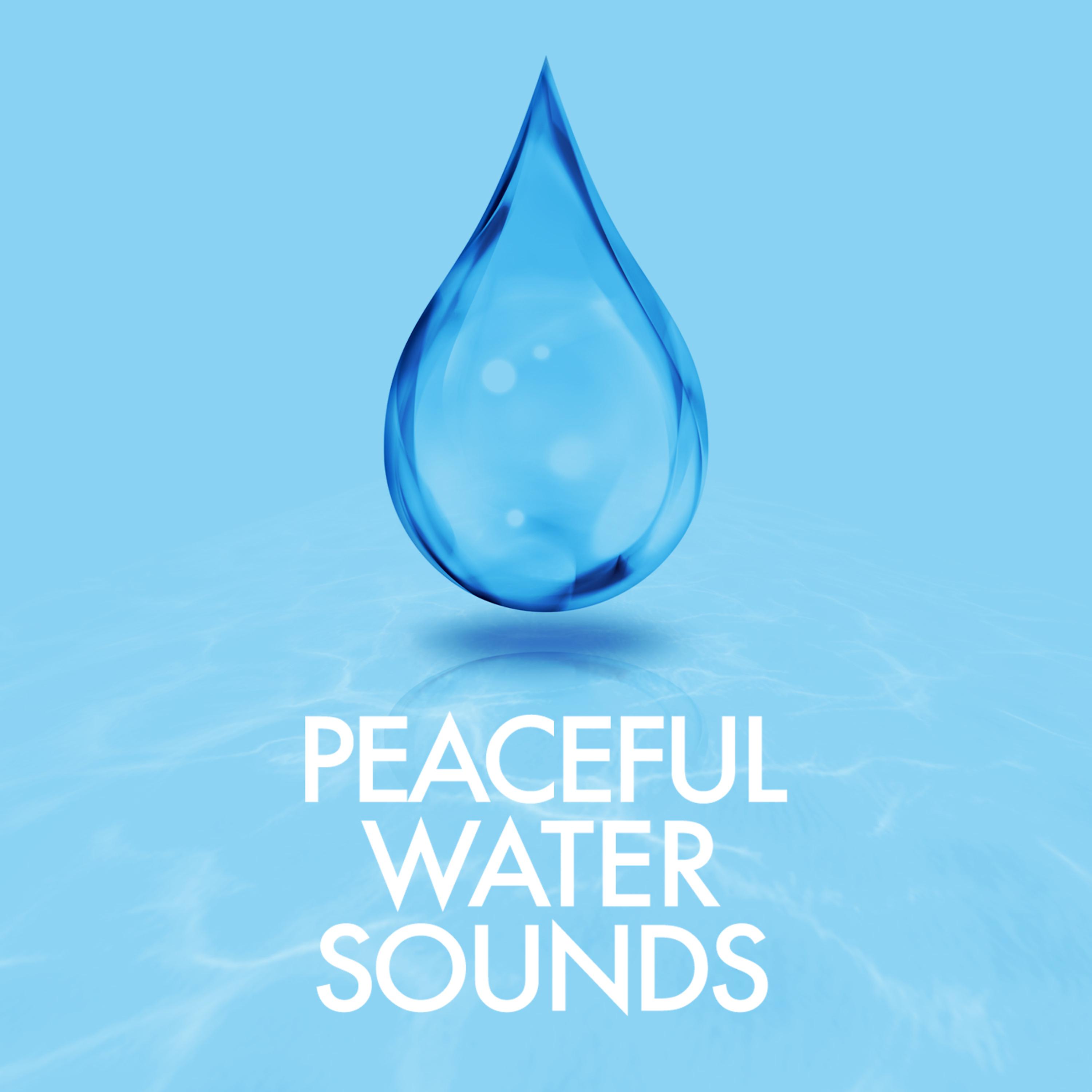 Постер альбома Peaceful Water Sounds