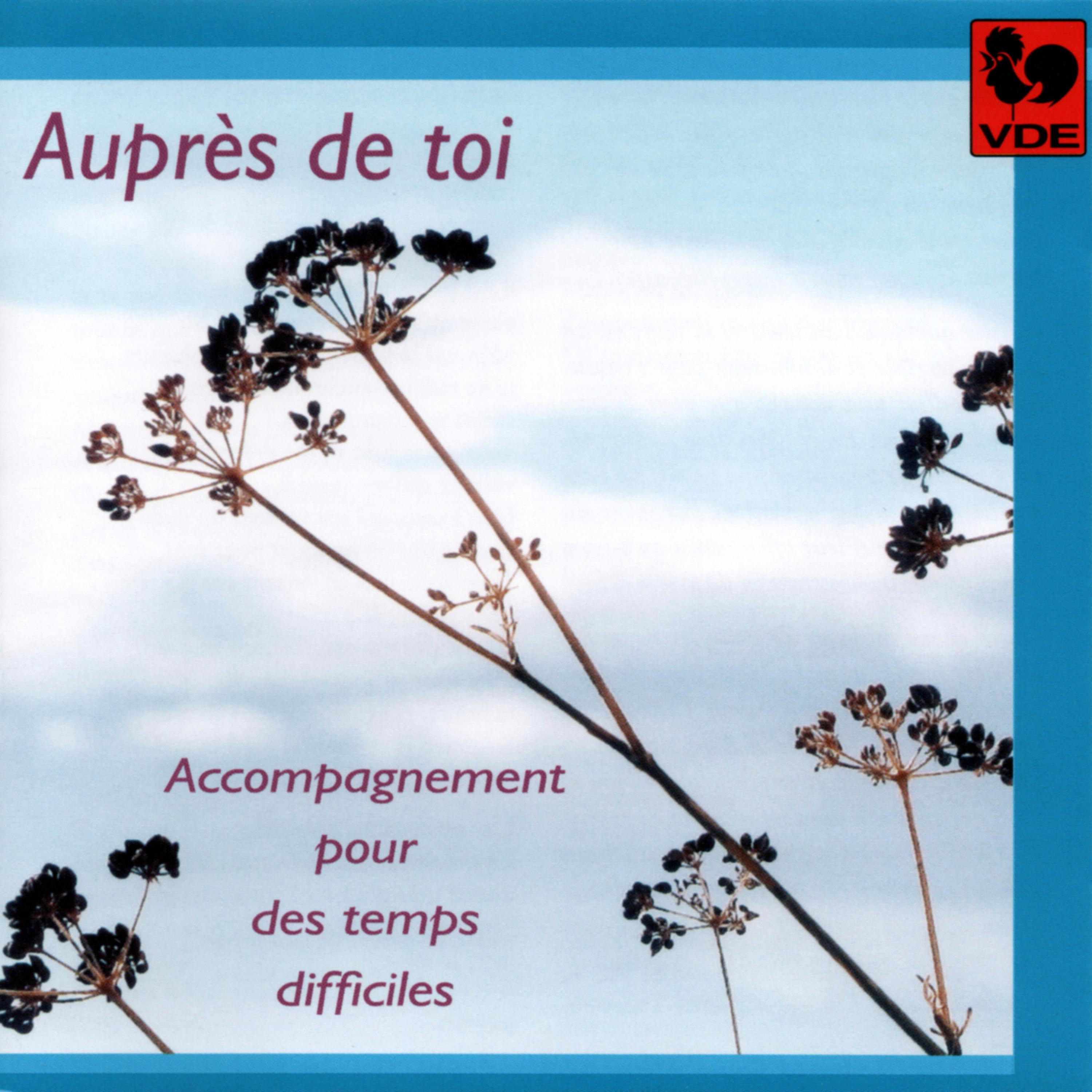 Постер альбома Auprès de toi: Accompagnement pour des temps difficiles