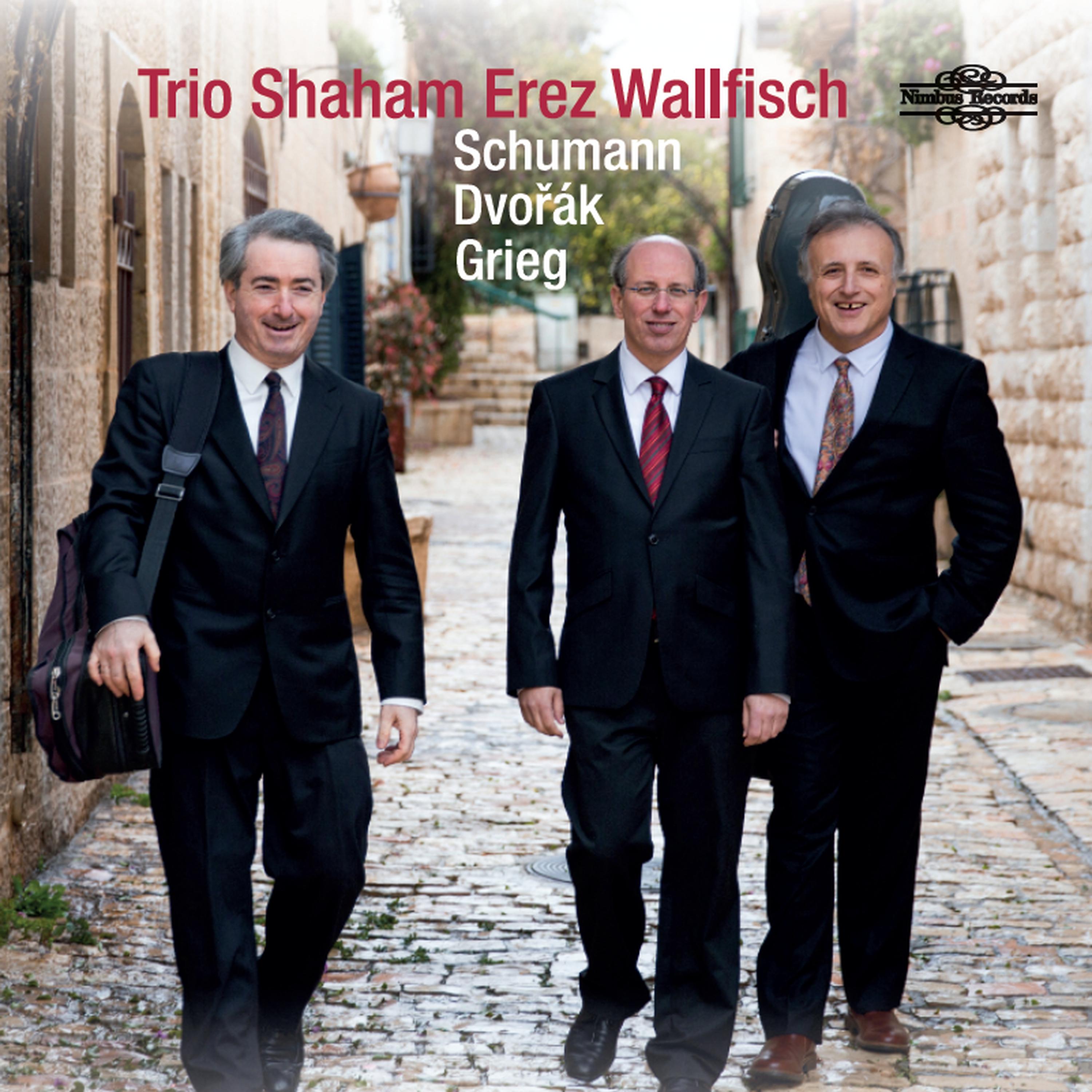 Постер альбома Trio Shaham, Erez, Wallfisch: Schumann, Dvořák, Grieg