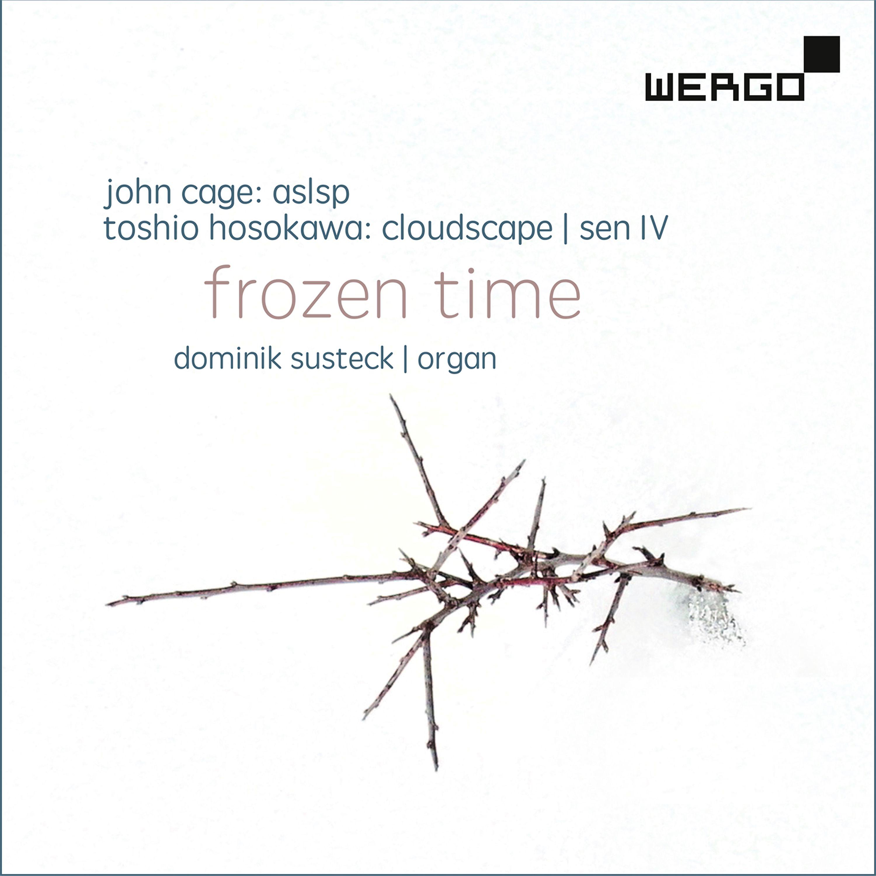 Постер альбома Cage, Susteck & Hosokawa: Frozen Time