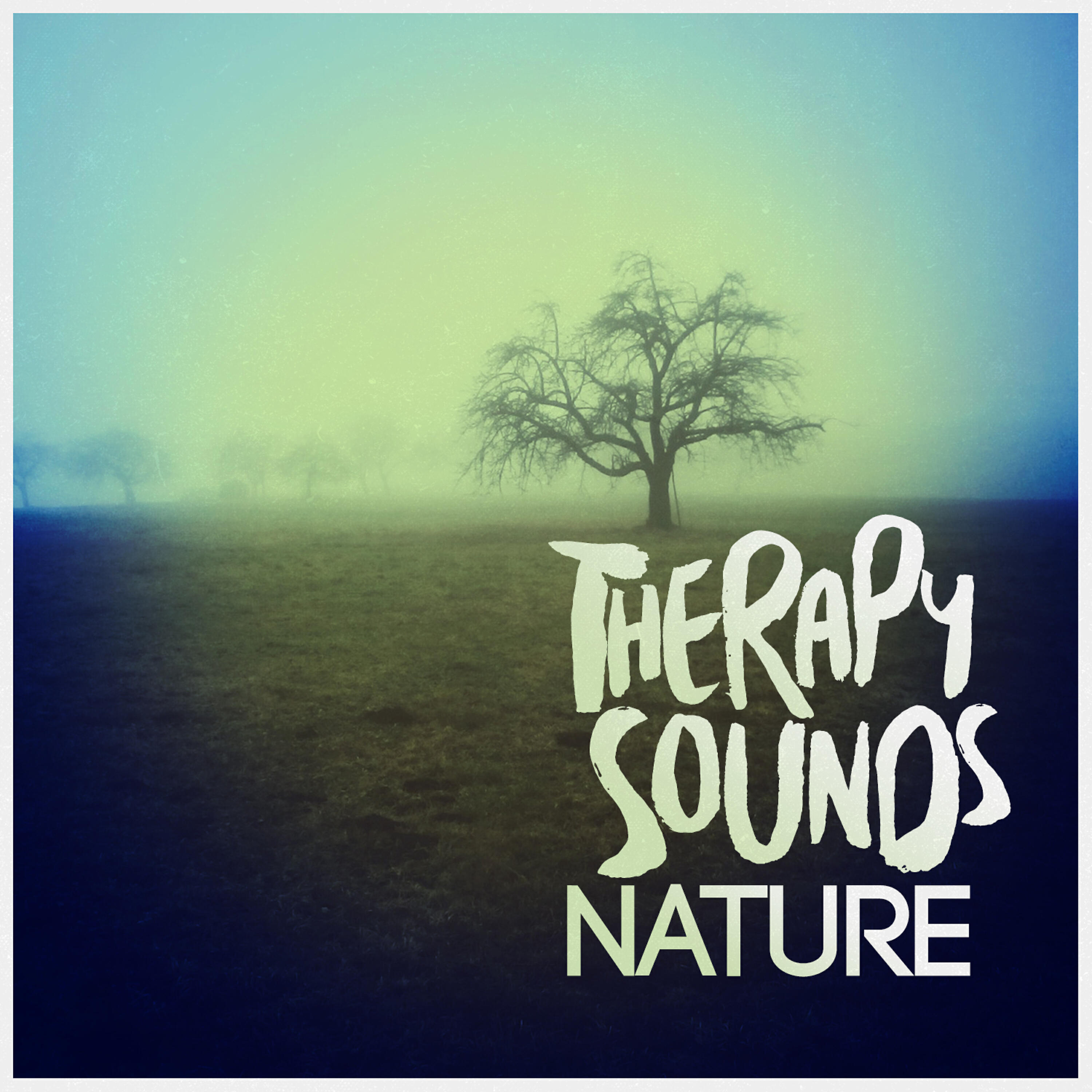 Nature Sounds Therapy - Lake Life
