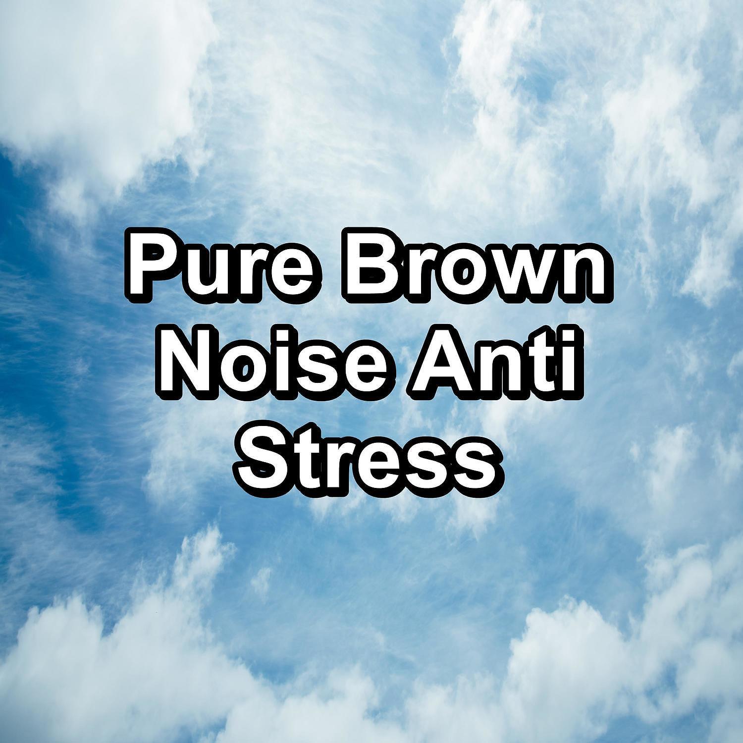 Постер альбома Pure Brown Noise Anti Stress