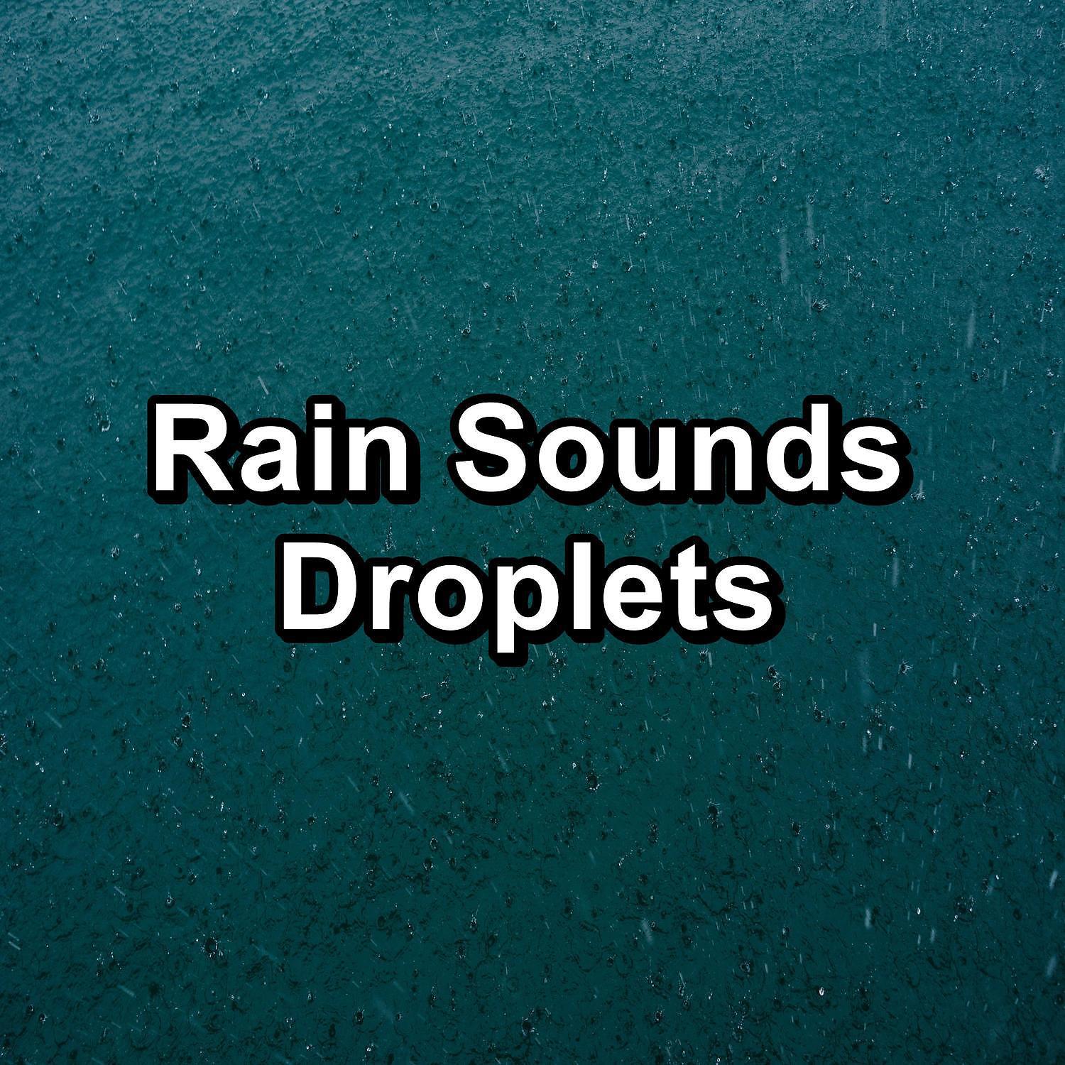 Постер альбома Rain Sounds Droplets