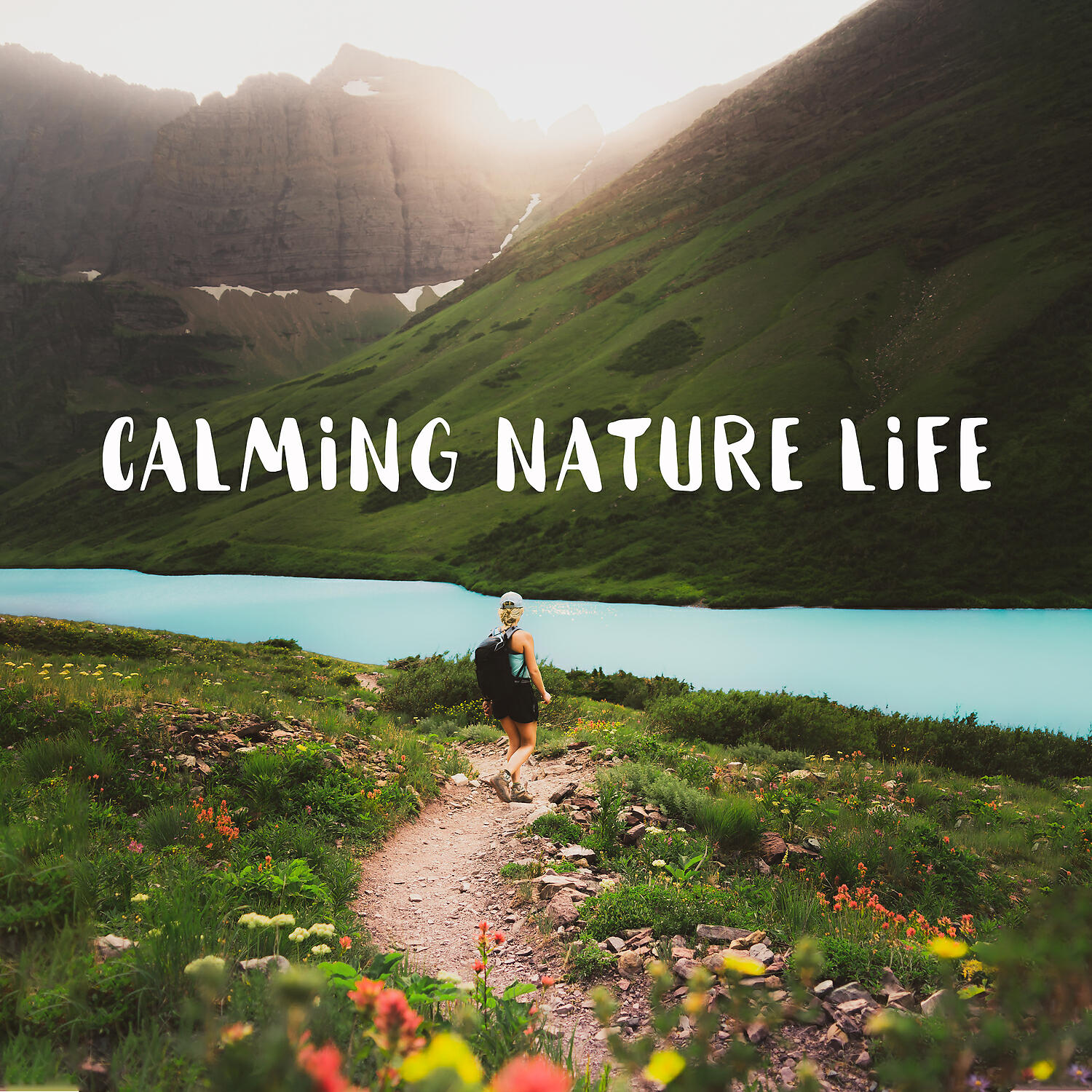 Natural Healing Music Zone - Gardens of China, Yin & Yang