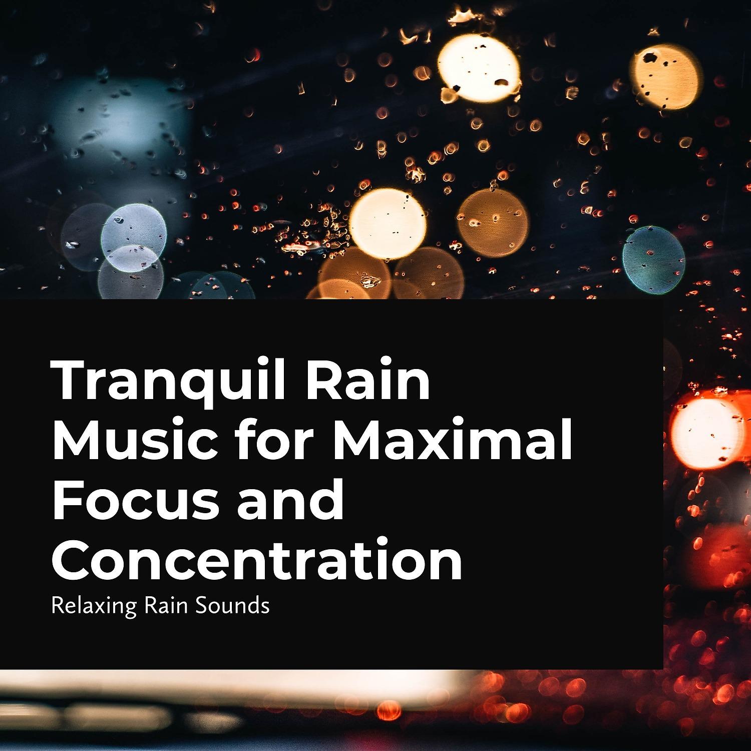 Постер альбома Tranquil Rain Music for Maximal Focus and Concentration