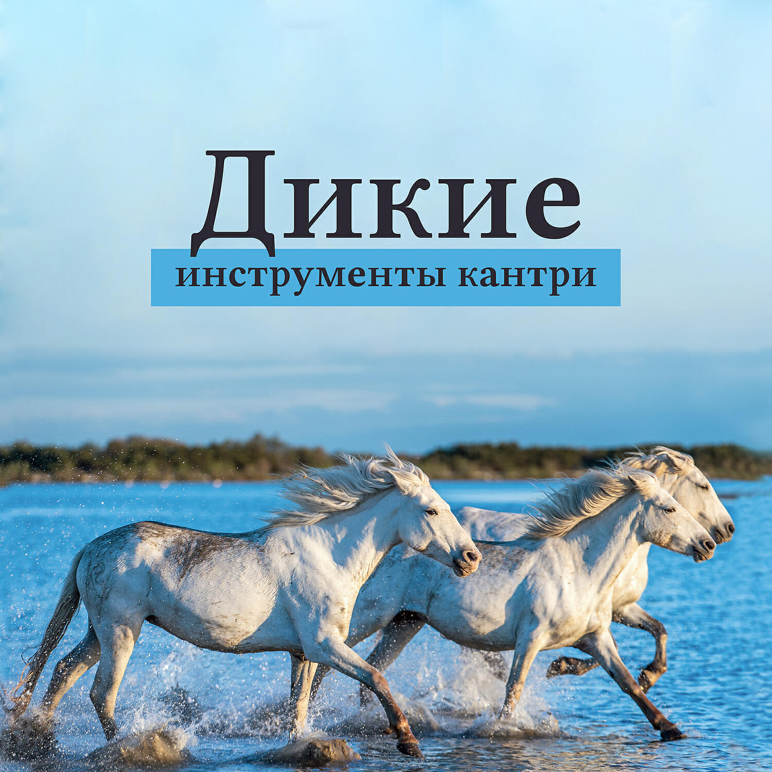 Wild West Music Band - Традиции Запада