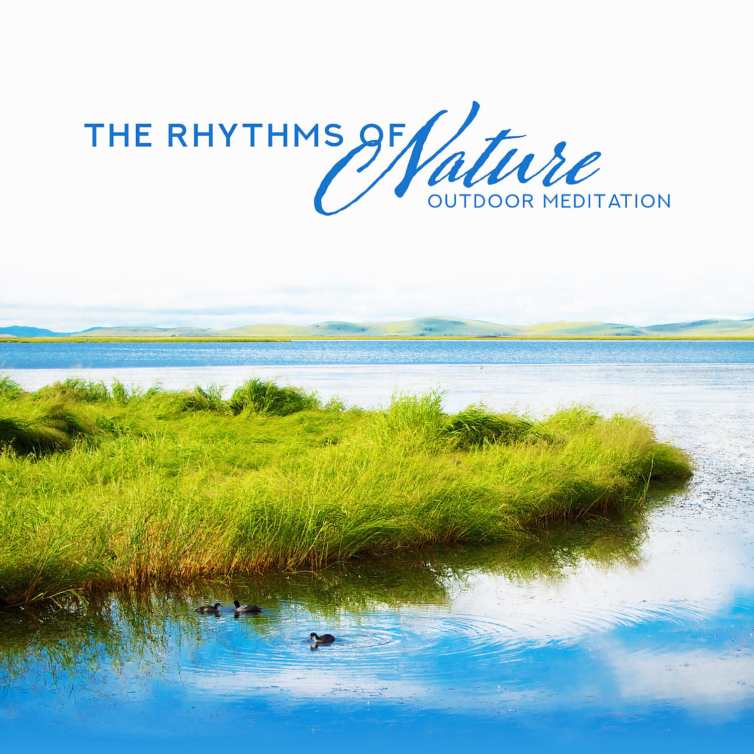 Nature Music Zone - Soothing Dolphin Sounds