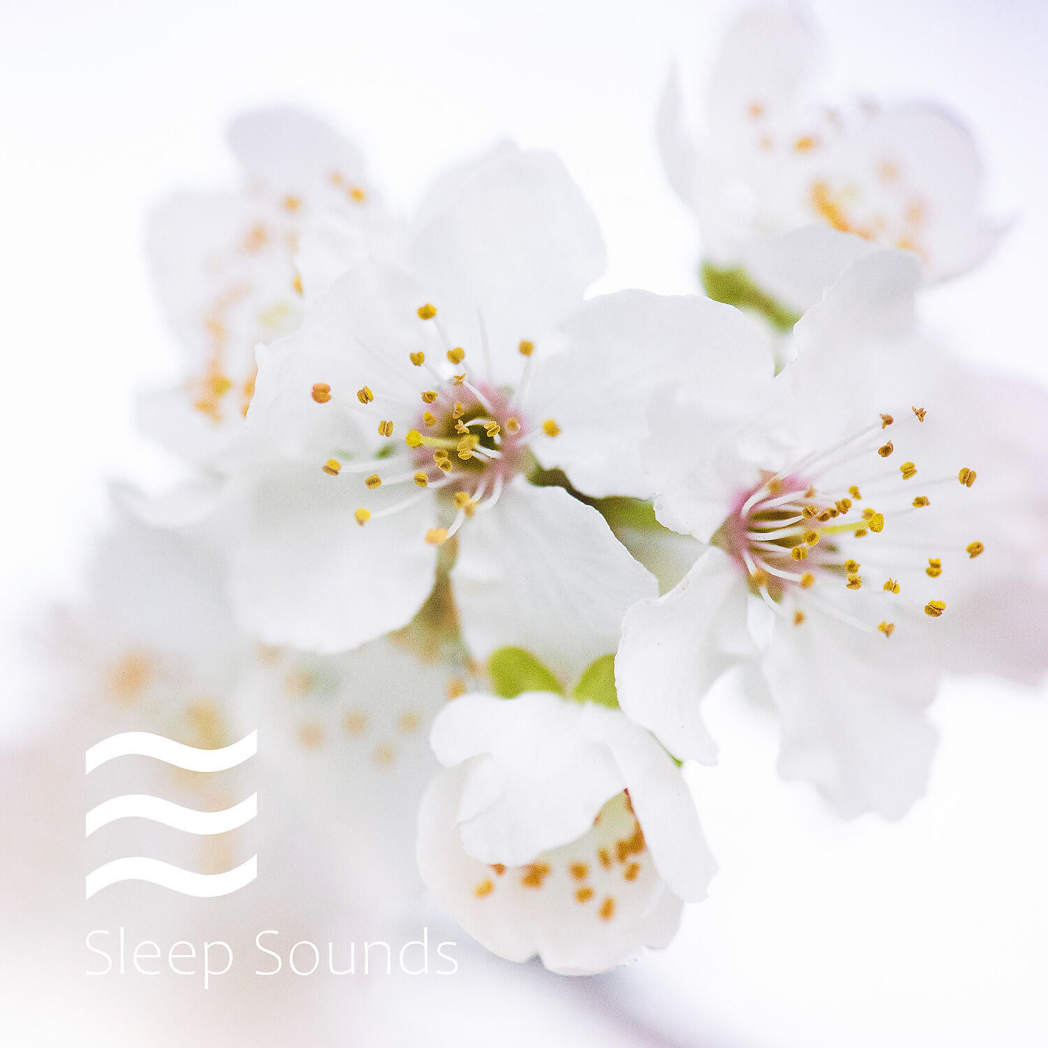 Sleepy Sounds White Noise - Soporific sounds of white nosie for fast sleep