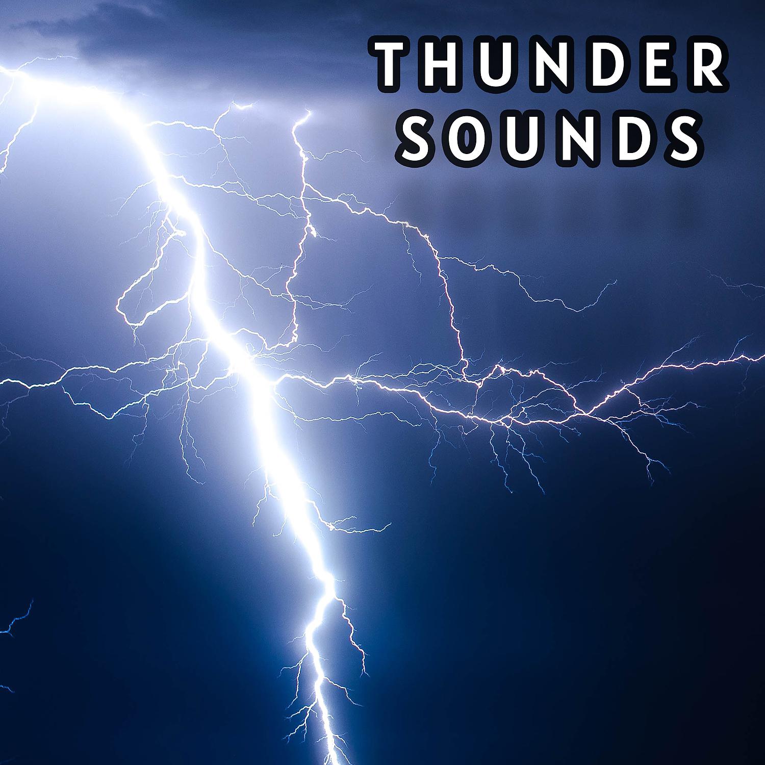 Постер альбома Most Awaited Thunder Sounds Collection