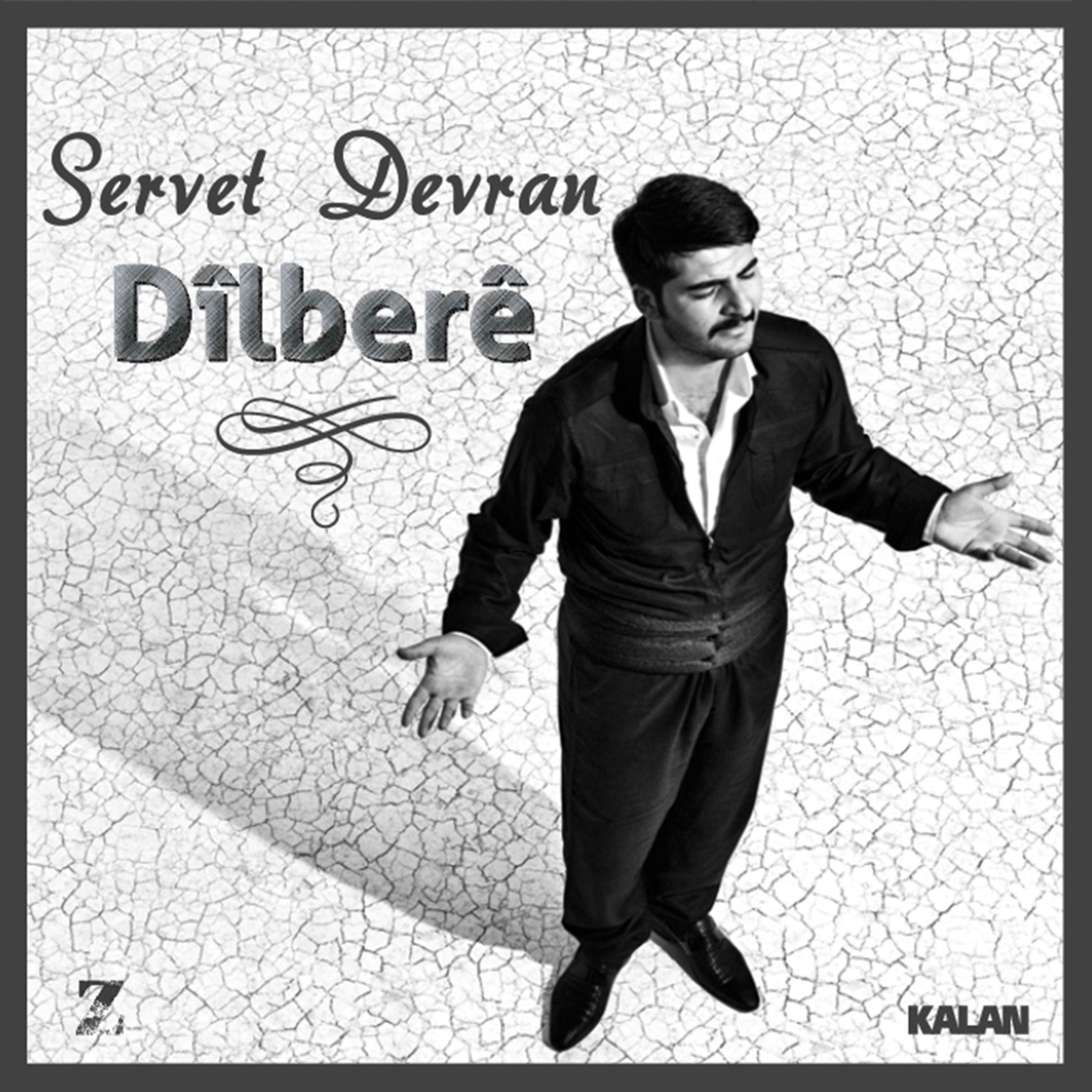 Постер альбома Dilbere