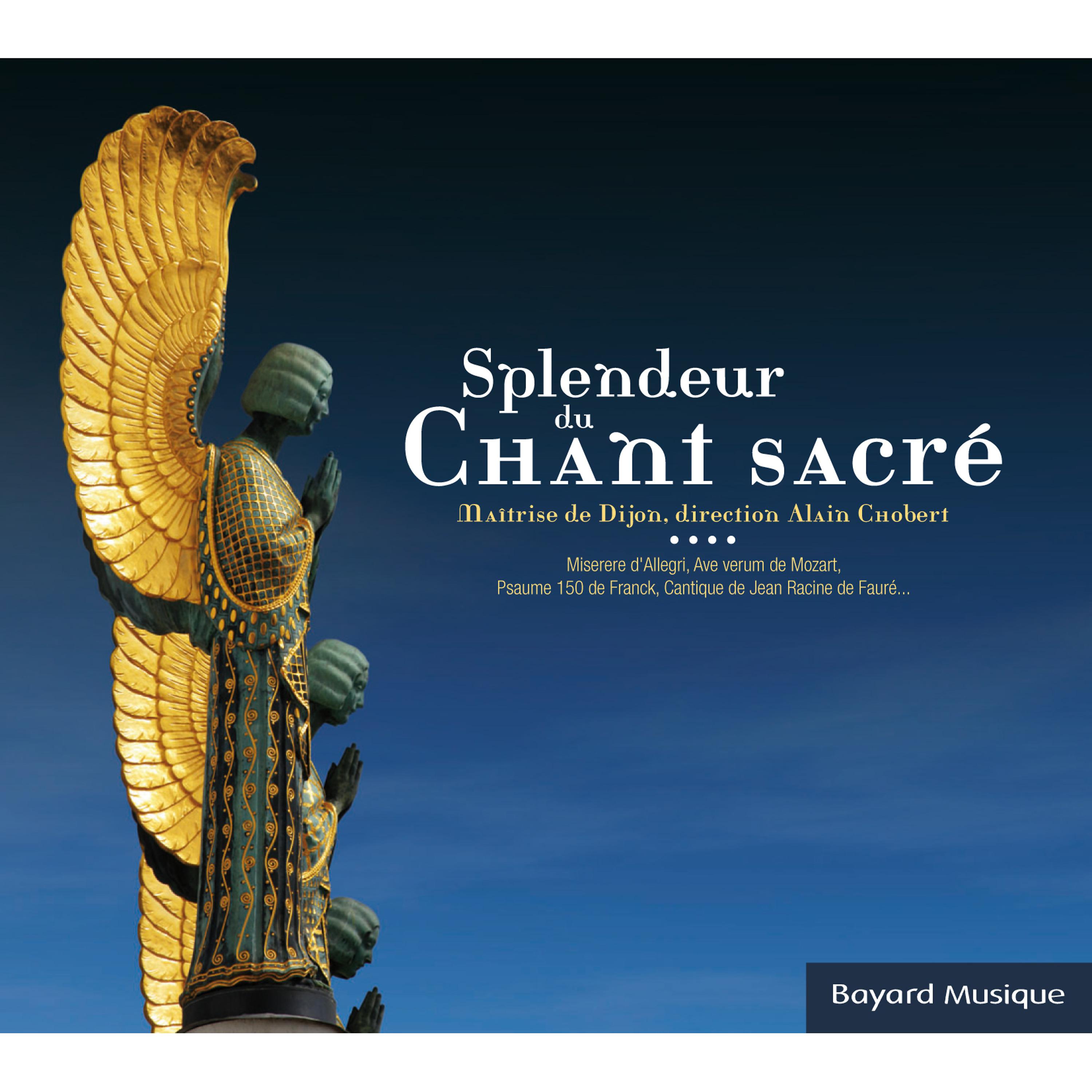 Постер альбома Splendeur du chant sacré