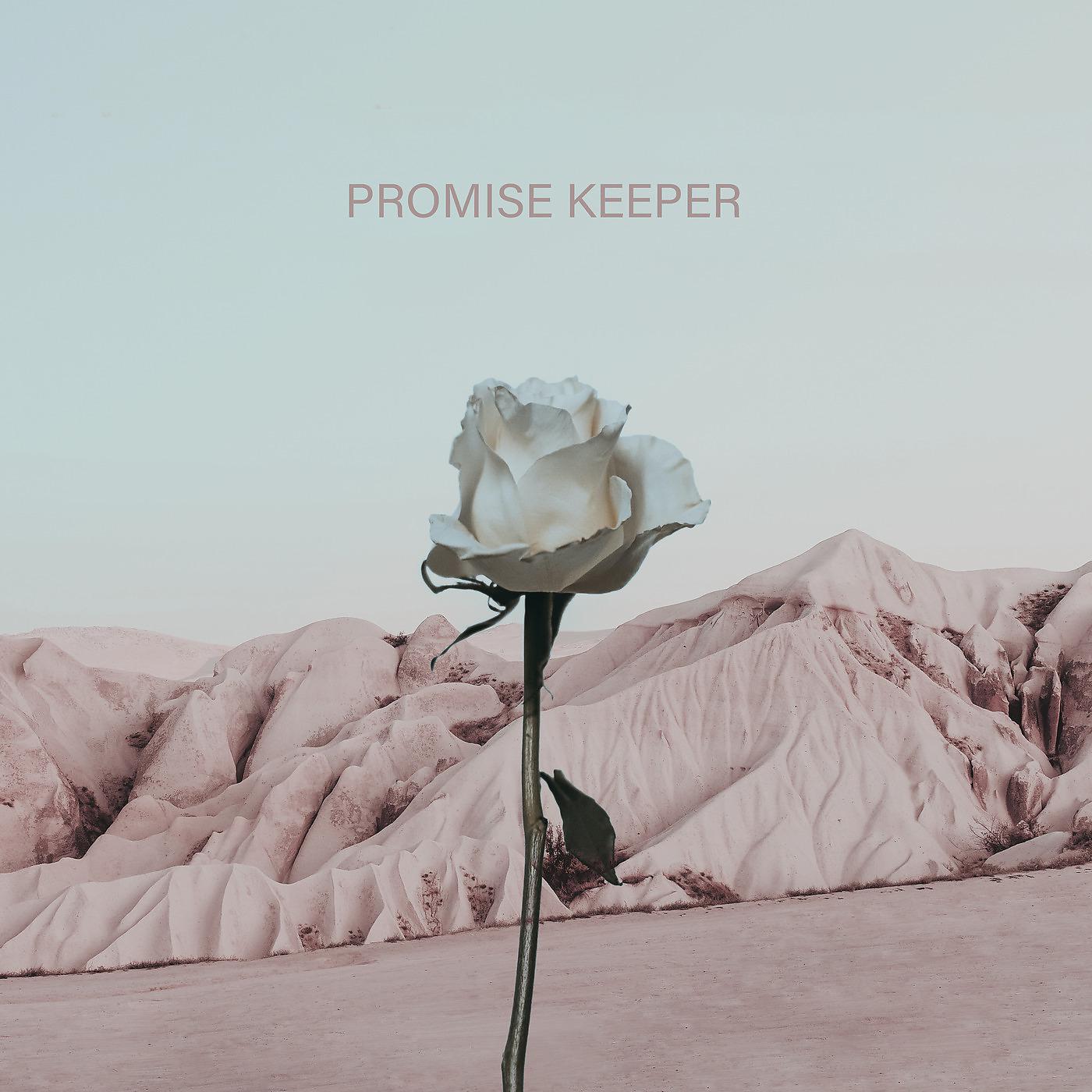 Постер альбома Promise Keeper