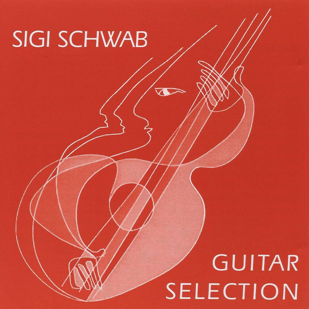 Sigi Schwab - Just a Simple Work Song (München Session [Live])
