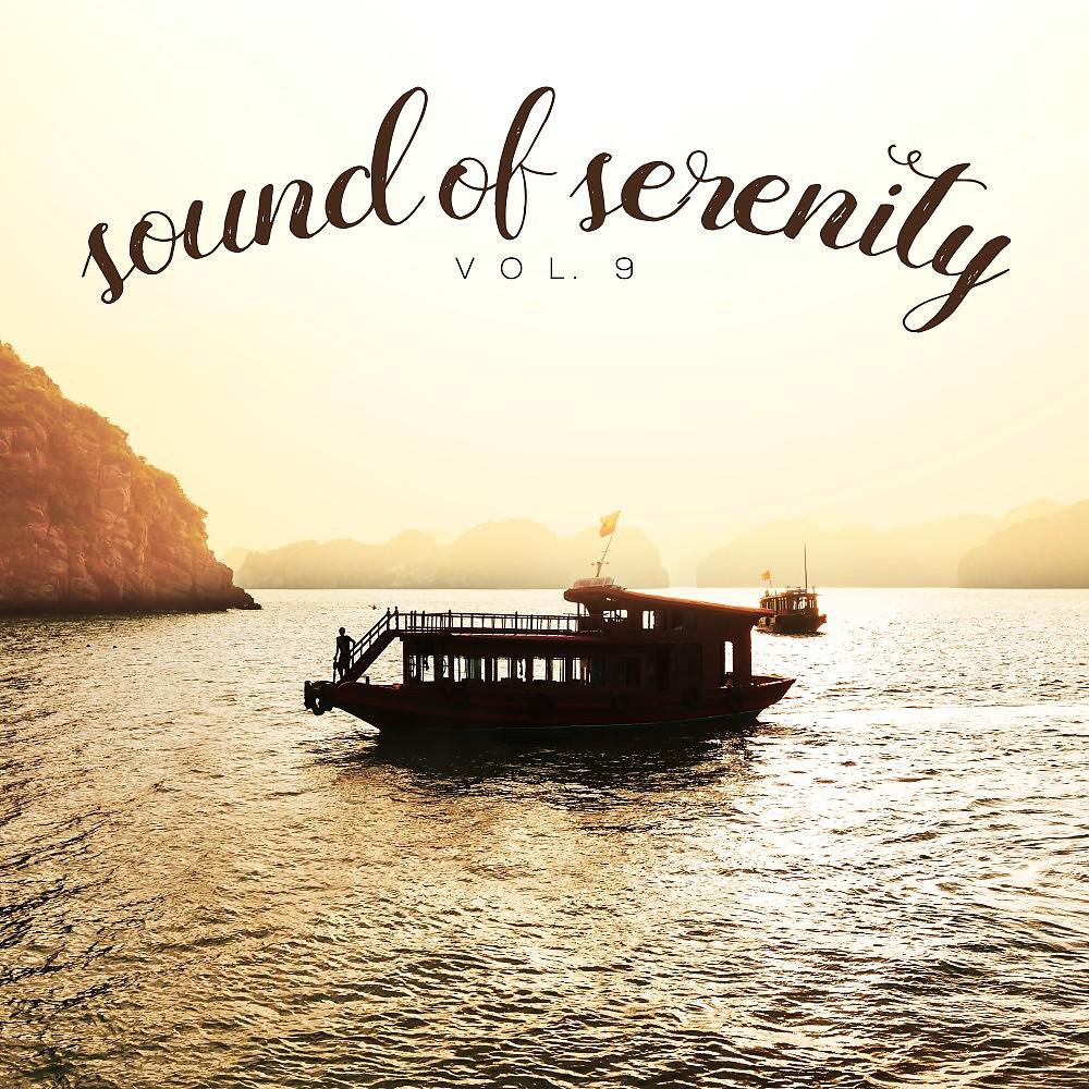 Постер альбома Sound of Serenity, Vol. 9