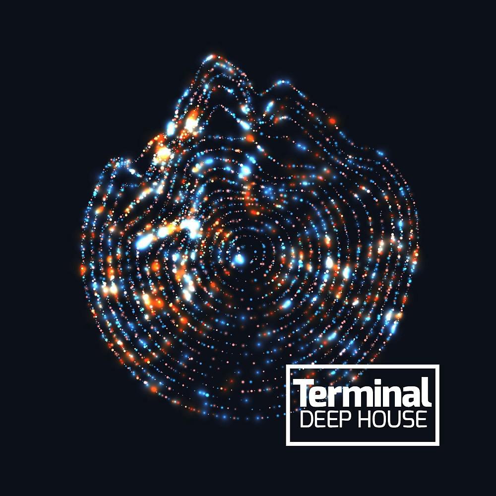 Постер альбома Terminal Deep House