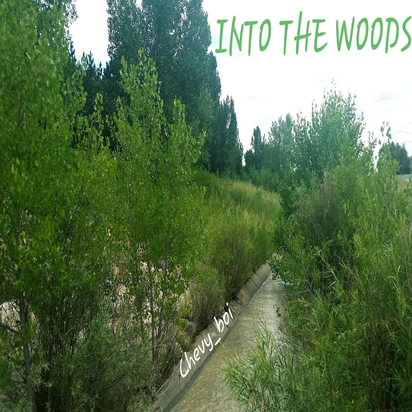 Chevy_Boi - Into the Woods