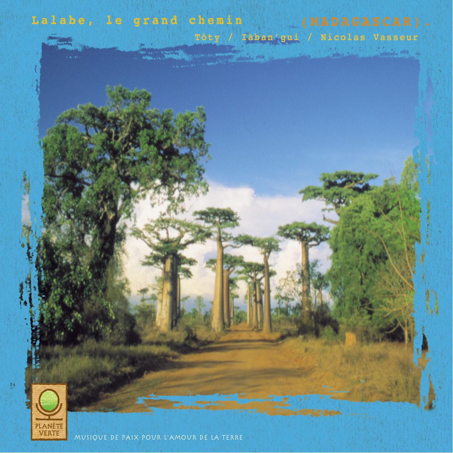 Постер альбома Planète verte: lalabe, le grand chemin (madagascar)