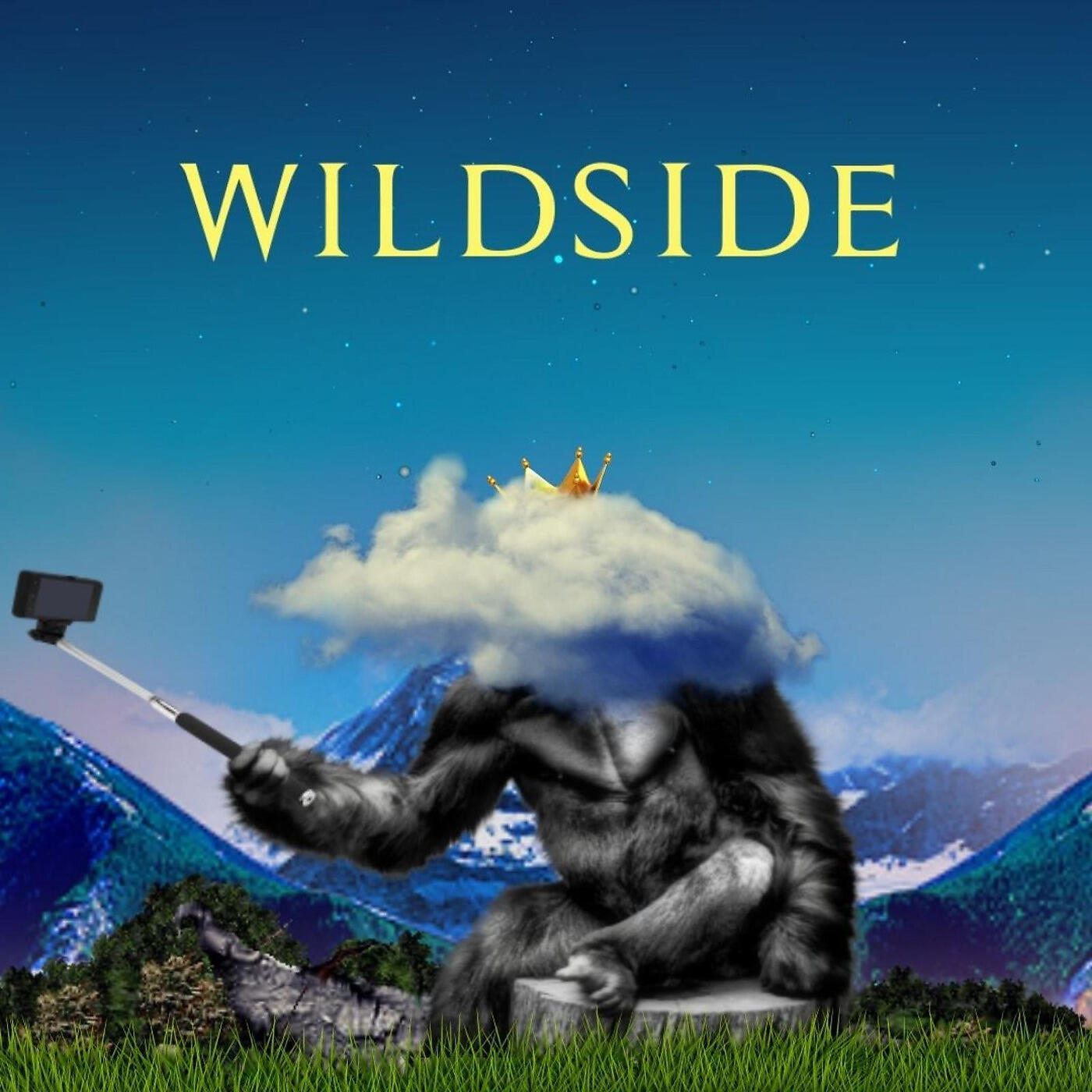 KENNY SIMZ - WildSide