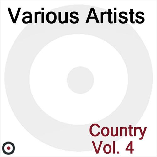 Постер альбома Country Volume 5