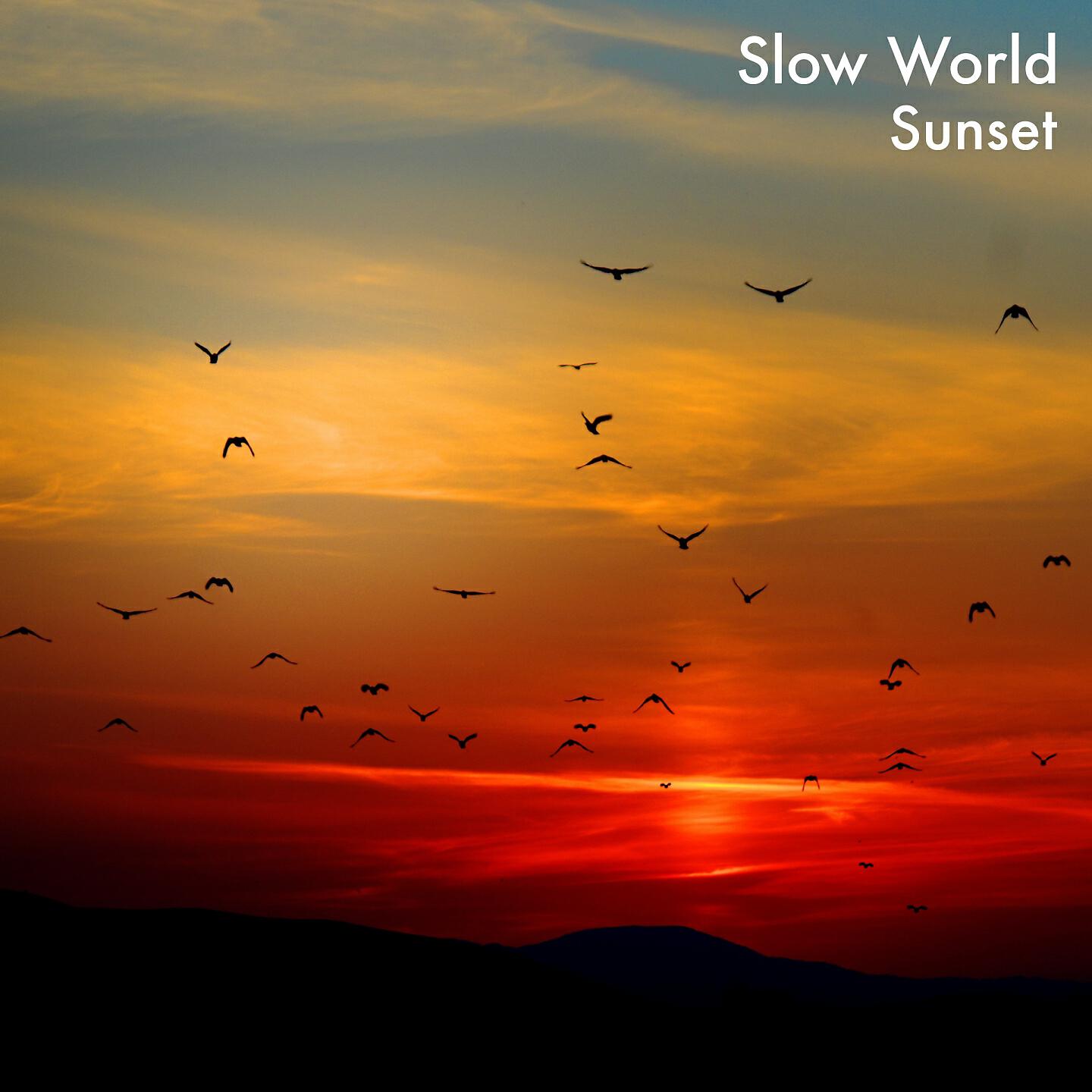 Slow World - Serve Chilled