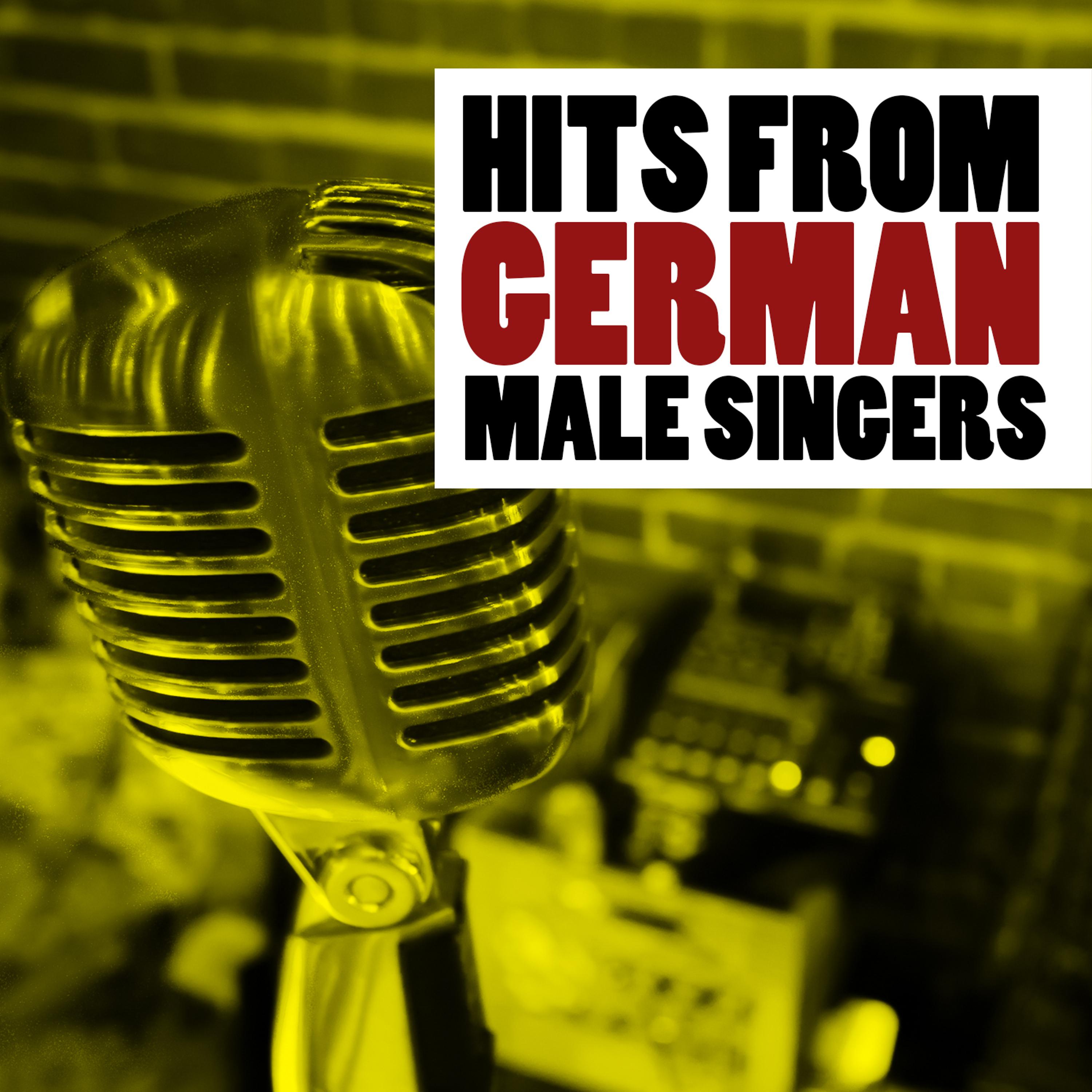 Постер альбома Hits from German Male Singers