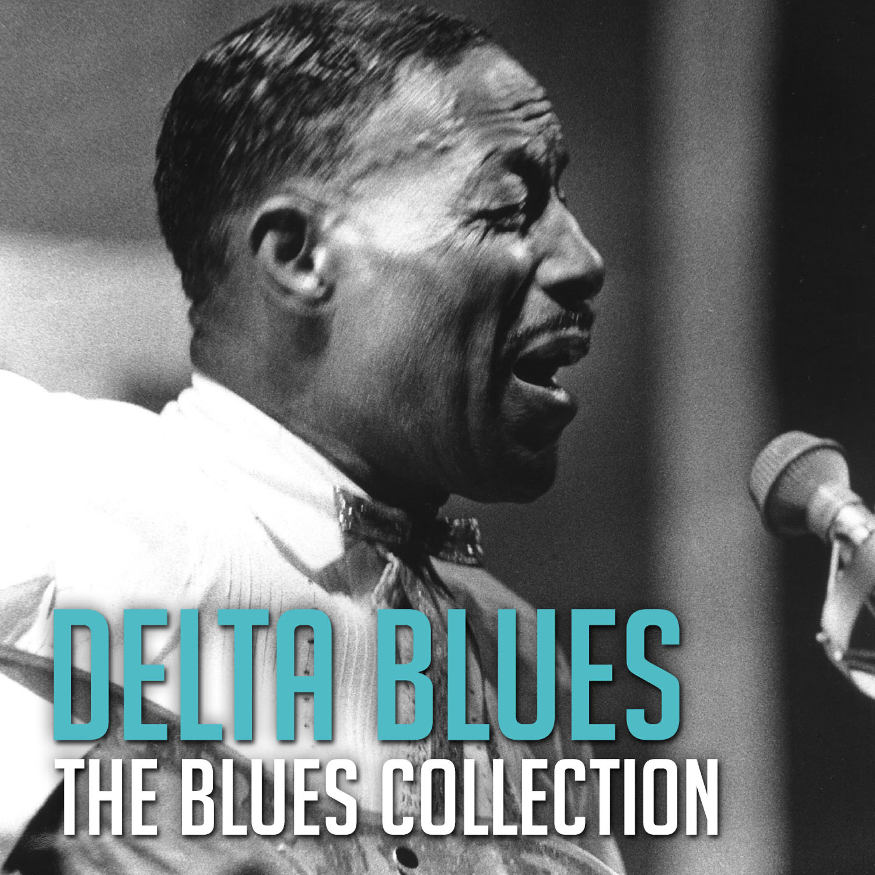 Muddy Waters - Manish Boy