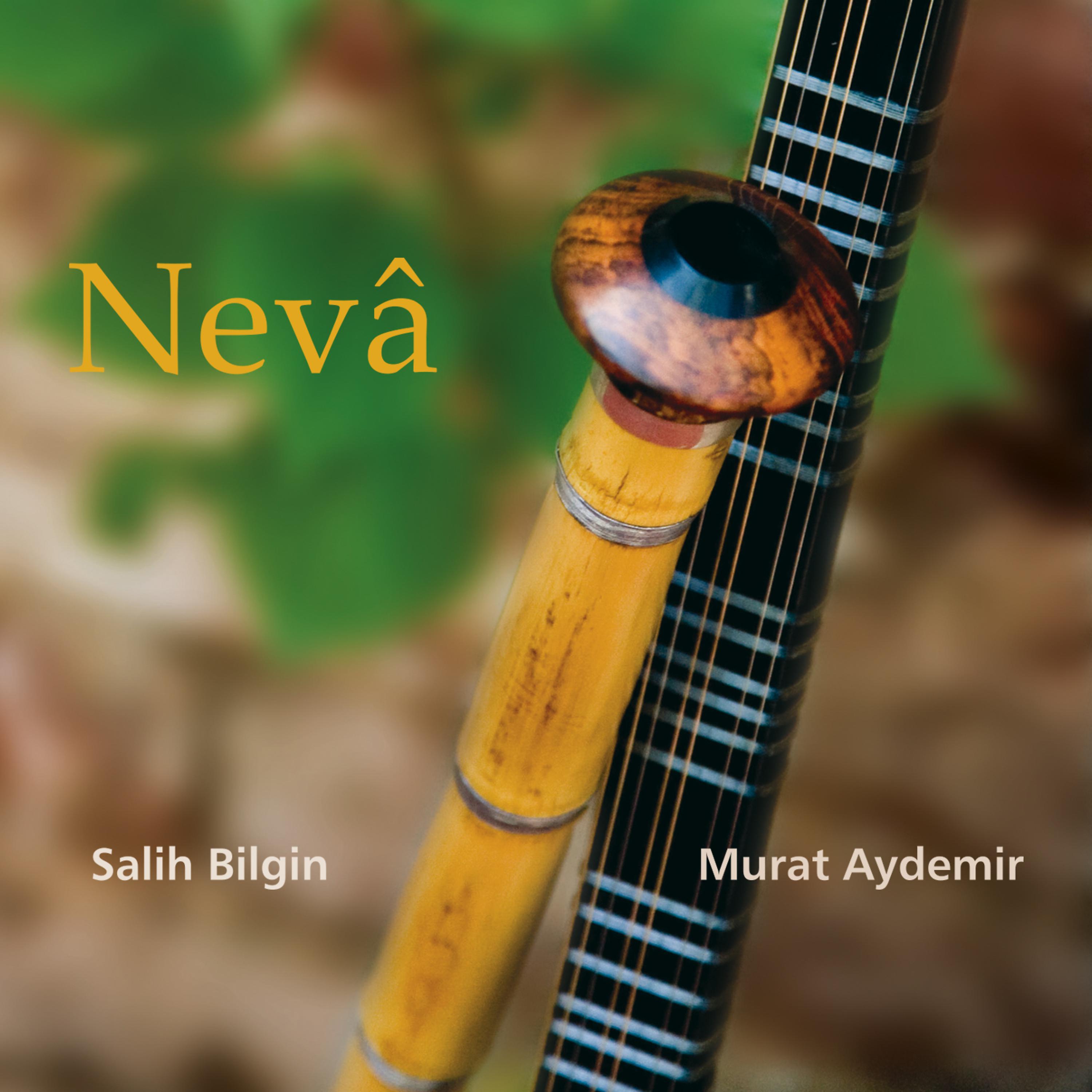 Постер альбома Neva