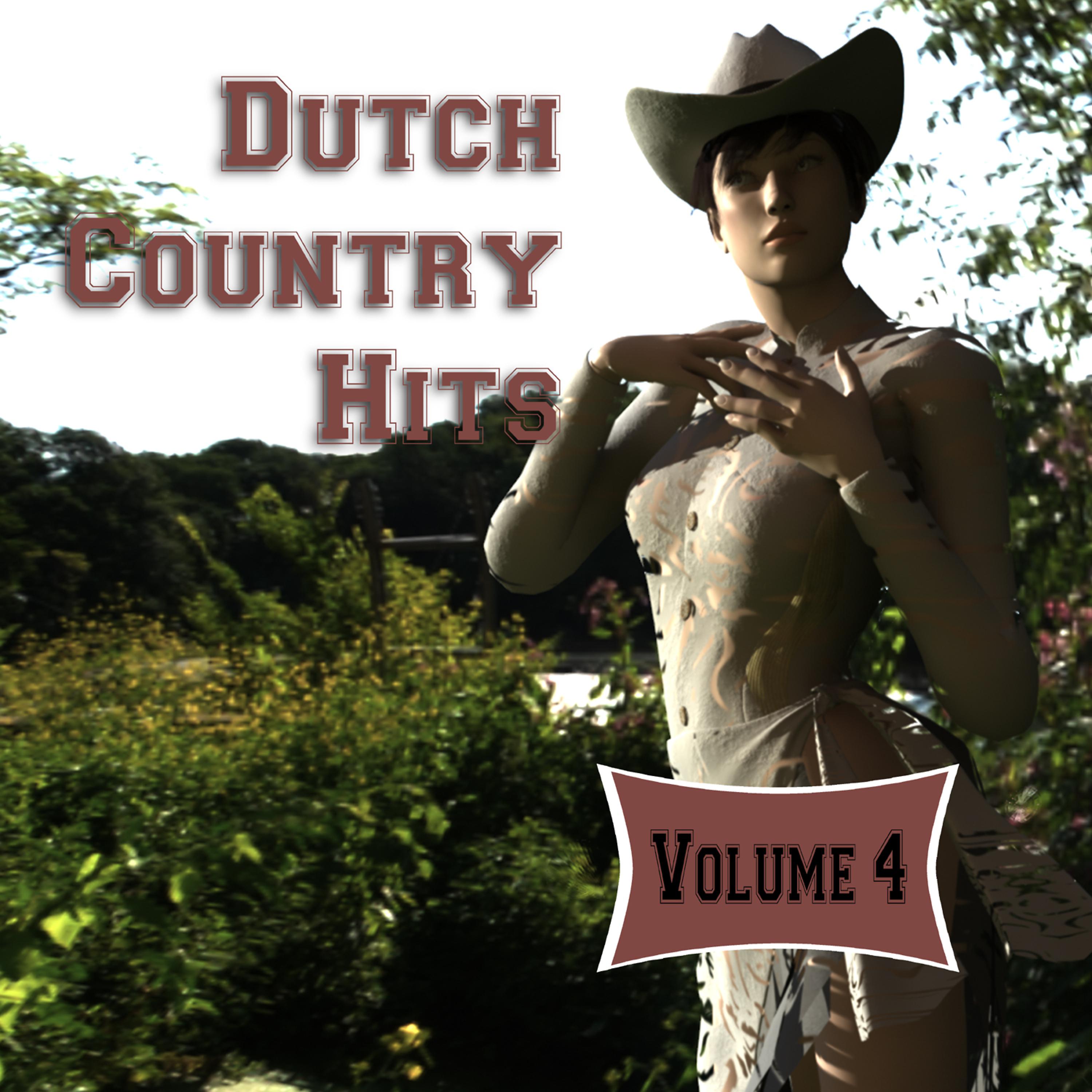 Постер альбома Dutch Country Hits, Vol. 4