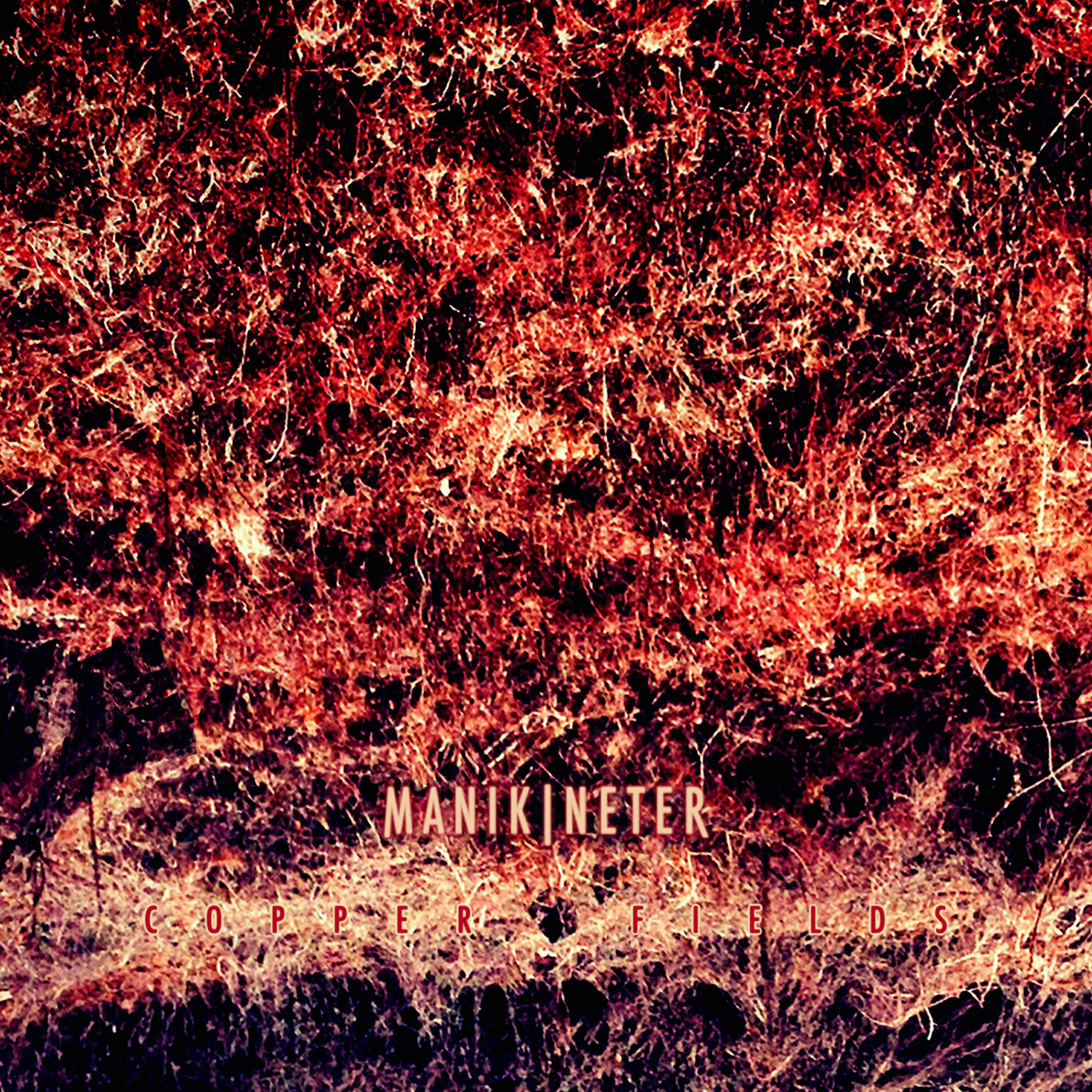 Manikineter - Bait and Switch
