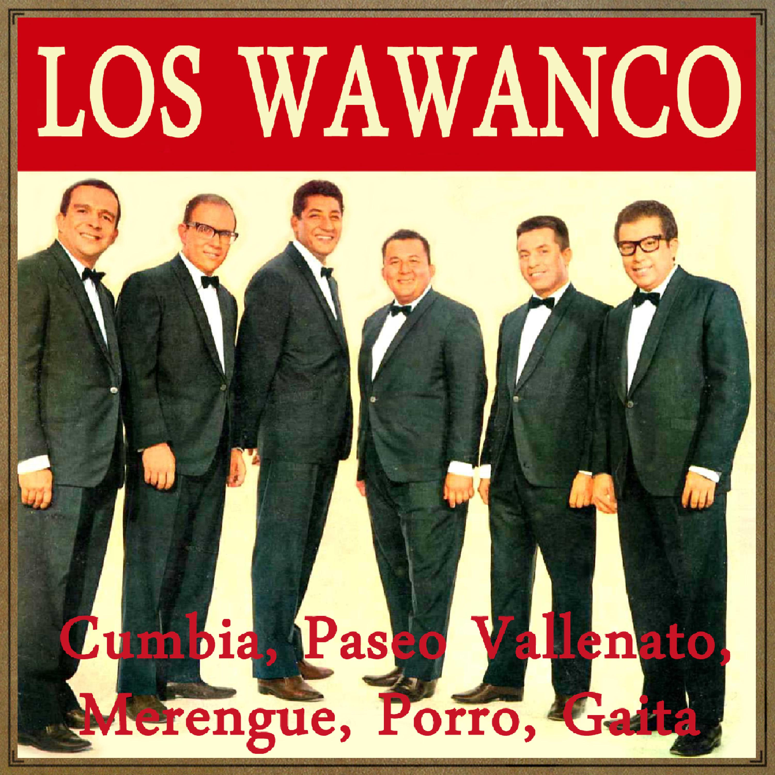 Постер альбома Cumbia, Paseo Vallenato, Merengue, Porro, Gaita
